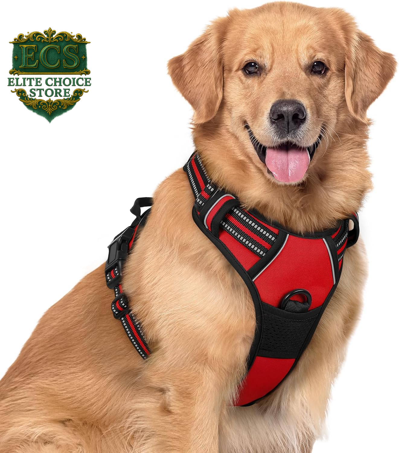 Rabbitgoo Dog Harness No Pull with 2 Leash Clips, Adjustable Soft Padded, Reflective Oxford No Choke Pet Vest with Easy Control Handle for Large Dogs, Black, L