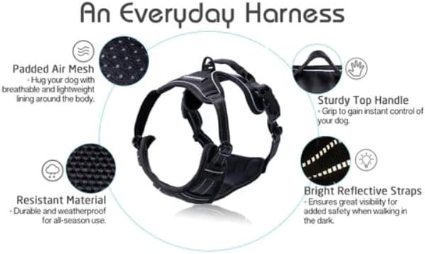 Rabbitgoo Dog Harness No Pull with 2 Leash Clips, Adjustable Soft Padded, Reflective Oxford No Choke Pet Vest with Easy Control Handle for Large Dogs, Black, L