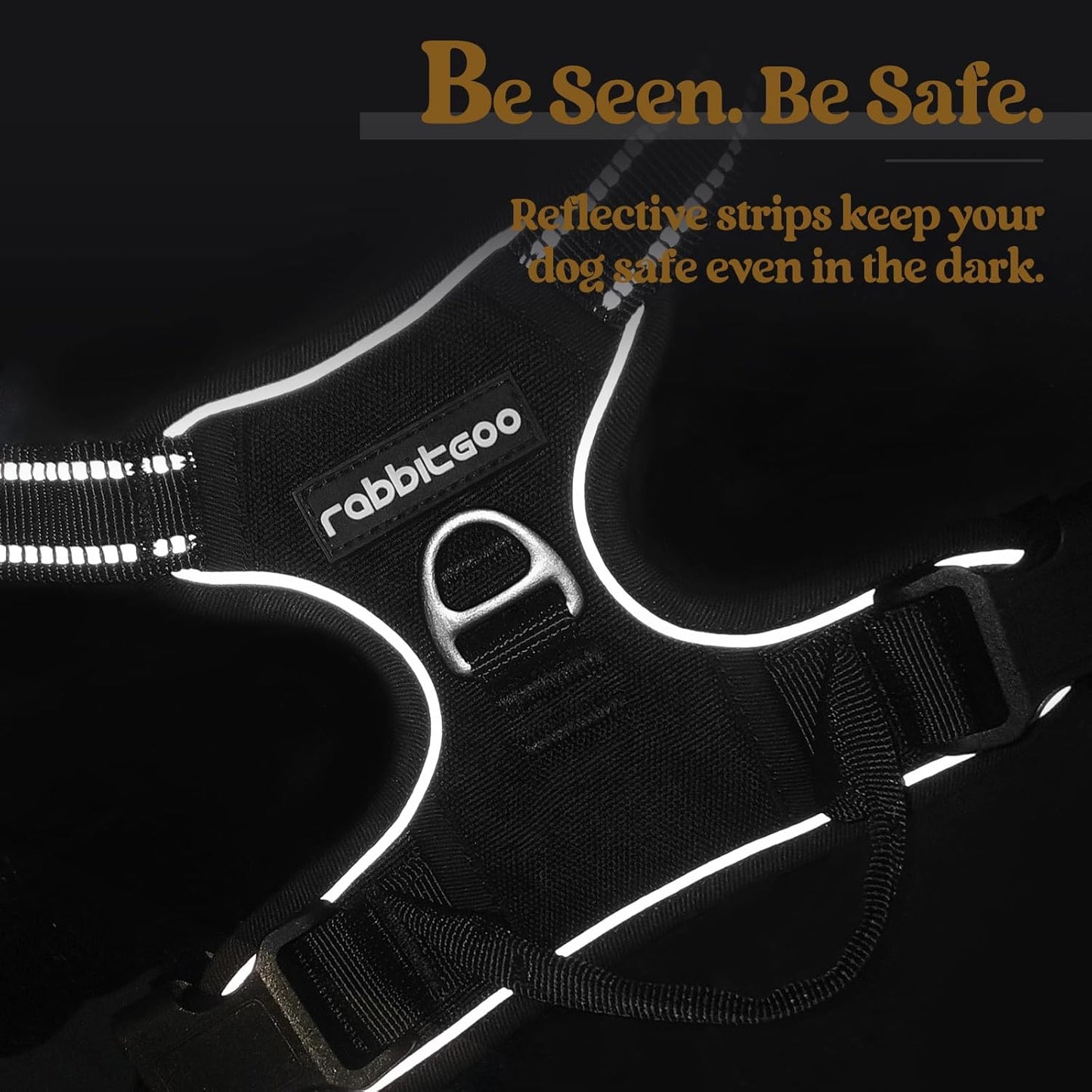 Rabbitgoo Dog Harness No Pull with 2 Leash Clips, Adjustable Soft Padded, Reflective Oxford No Choke Pet Vest with Easy Control Handle for Large Dogs, Black, L