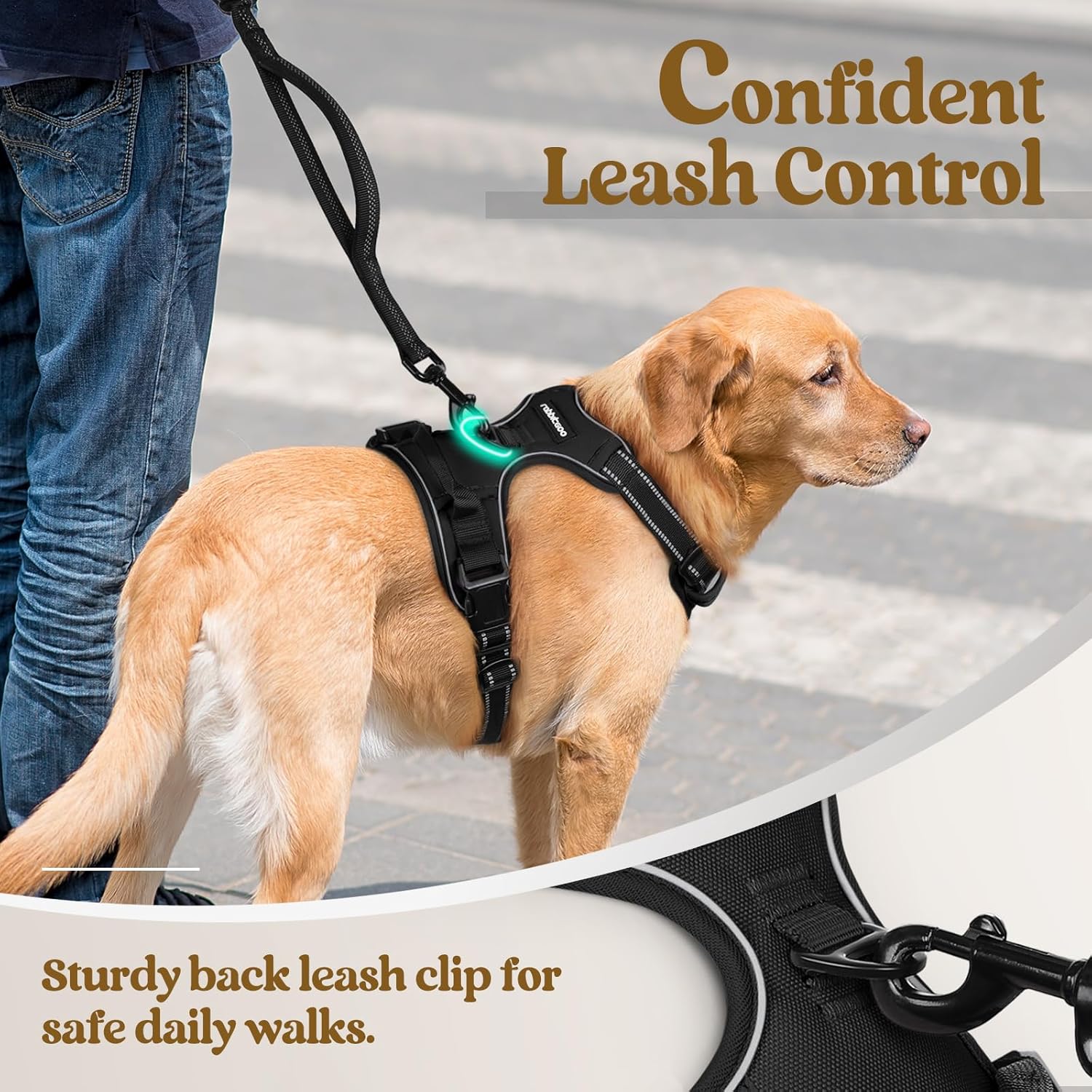 Rabbitgoo Dog Harness No Pull with 2 Leash Clips, Adjustable Soft Padded, Reflective Oxford No Choke Pet Vest with Easy Control Handle for Large Dogs, Black, L