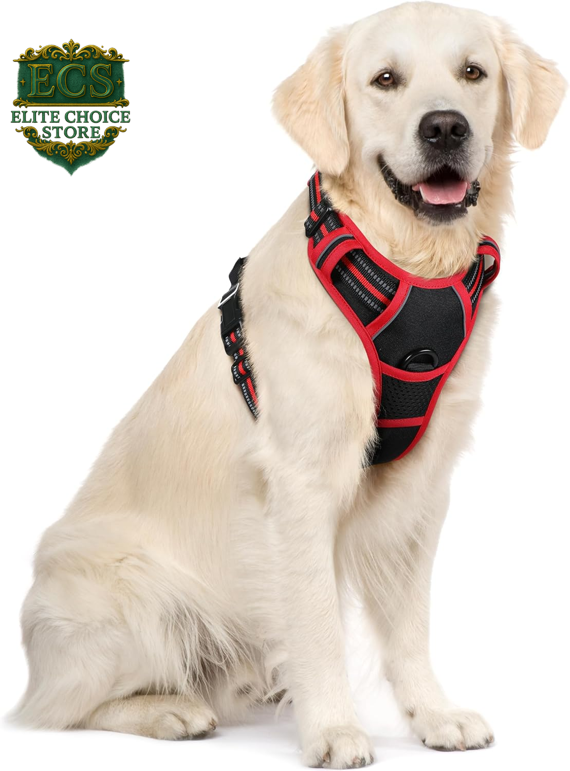 Rabbitgoo Dog Harness No Pull with 2 Leash Clips, Adjustable Soft Padded, Reflective Oxford No Choke Pet Vest with Easy Control Handle for Large Dogs, Black, L