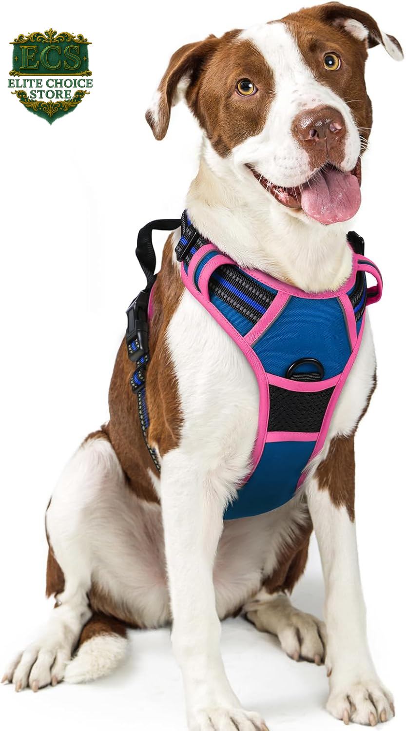 Rabbitgoo Dog Harness No Pull with 2 Leash Clips, Adjustable Soft Padded, Reflective Oxford No Choke Pet Vest with Easy Control Handle for Large Dogs, Black, L