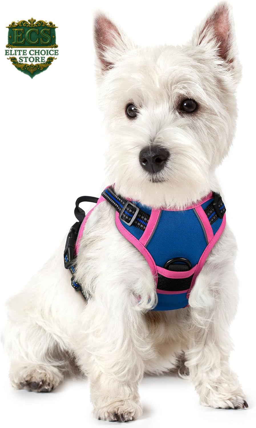 Rabbitgoo Dog Harness No Pull with 2 Leash Clips, Adjustable Soft Padded, Reflective Oxford No Choke Pet Vest with Easy Control Handle for Large Dogs, Black, L