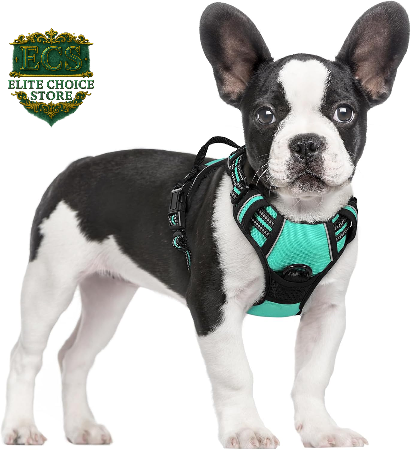 Rabbitgoo Dog Harness No Pull with 2 Leash Clips, Adjustable Soft Padded, Reflective Oxford No Choke Pet Vest with Easy Control Handle for Large Dogs, Black, L