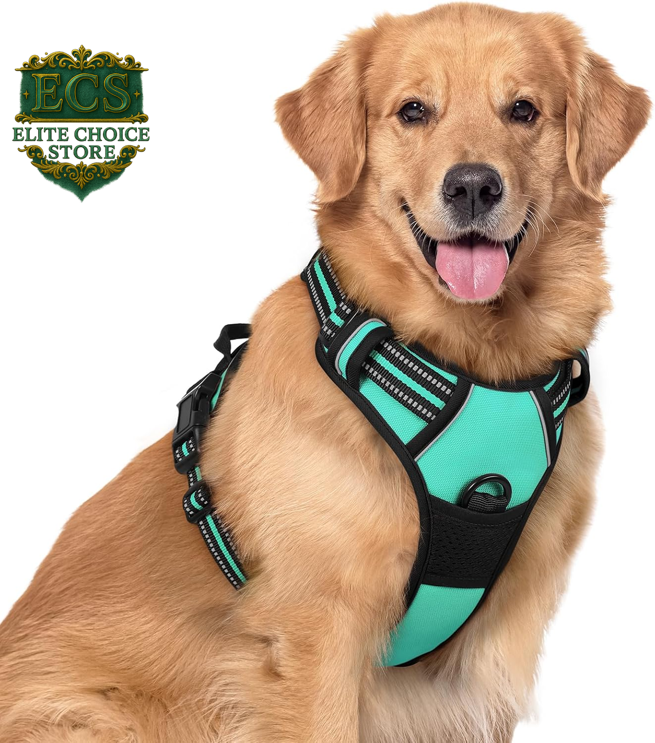 Rabbitgoo Dog Harness No Pull with 2 Leash Clips, Adjustable Soft Padded, Reflective Oxford No Choke Pet Vest with Easy Control Handle for Large Dogs, Black, L
