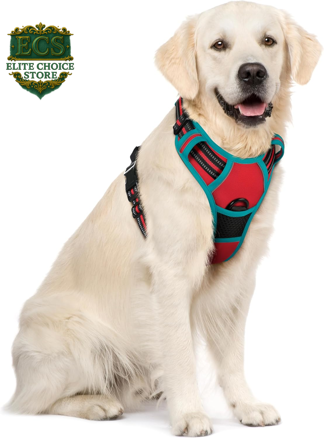 Rabbitgoo Dog Harness No Pull with 2 Leash Clips, Adjustable Soft Padded, Reflective Oxford No Choke Pet Vest with Easy Control Handle for Large Dogs, Black, L