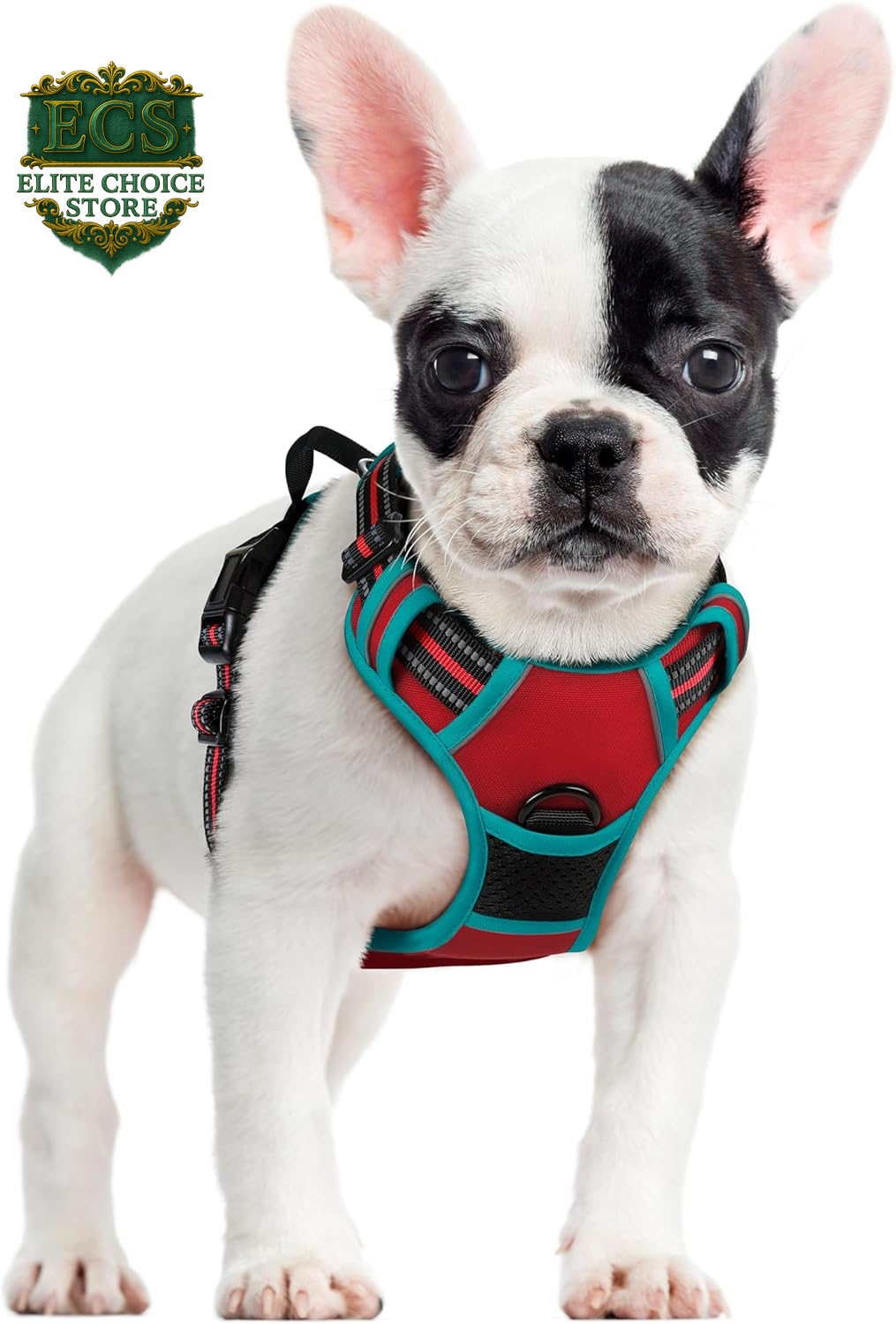 Rabbitgoo Dog Harness No Pull with 2 Leash Clips, Adjustable Soft Padded, Reflective Oxford No Choke Pet Vest with Easy Control Handle for Large Dogs, Black, L