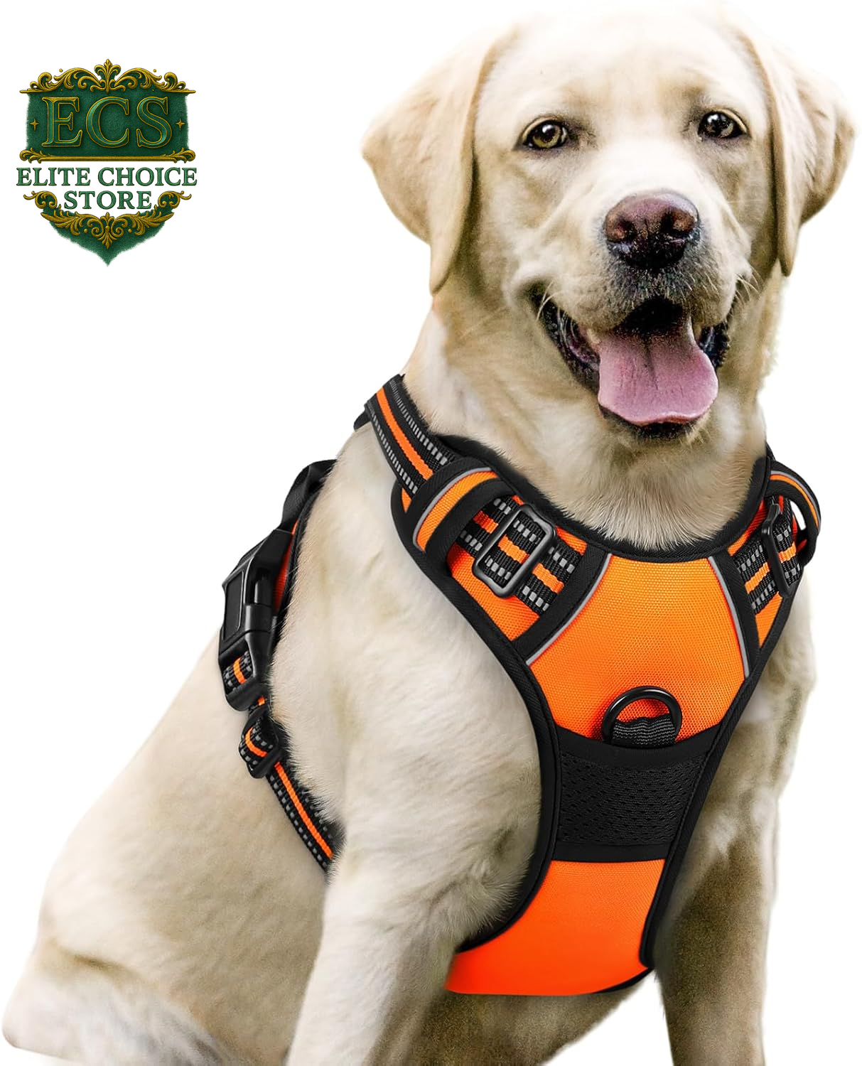 Rabbitgoo Dog Harness No Pull with 2 Leash Clips, Adjustable Soft Padded, Reflective Oxford No Choke Pet Vest with Easy Control Handle for Large Dogs, Black, L