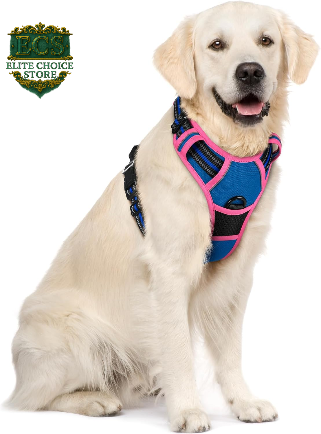 Rabbitgoo Dog Harness No Pull with 2 Leash Clips, Adjustable Soft Padded, Reflective Oxford No Choke Pet Vest with Easy Control Handle for Large Dogs, Black, L