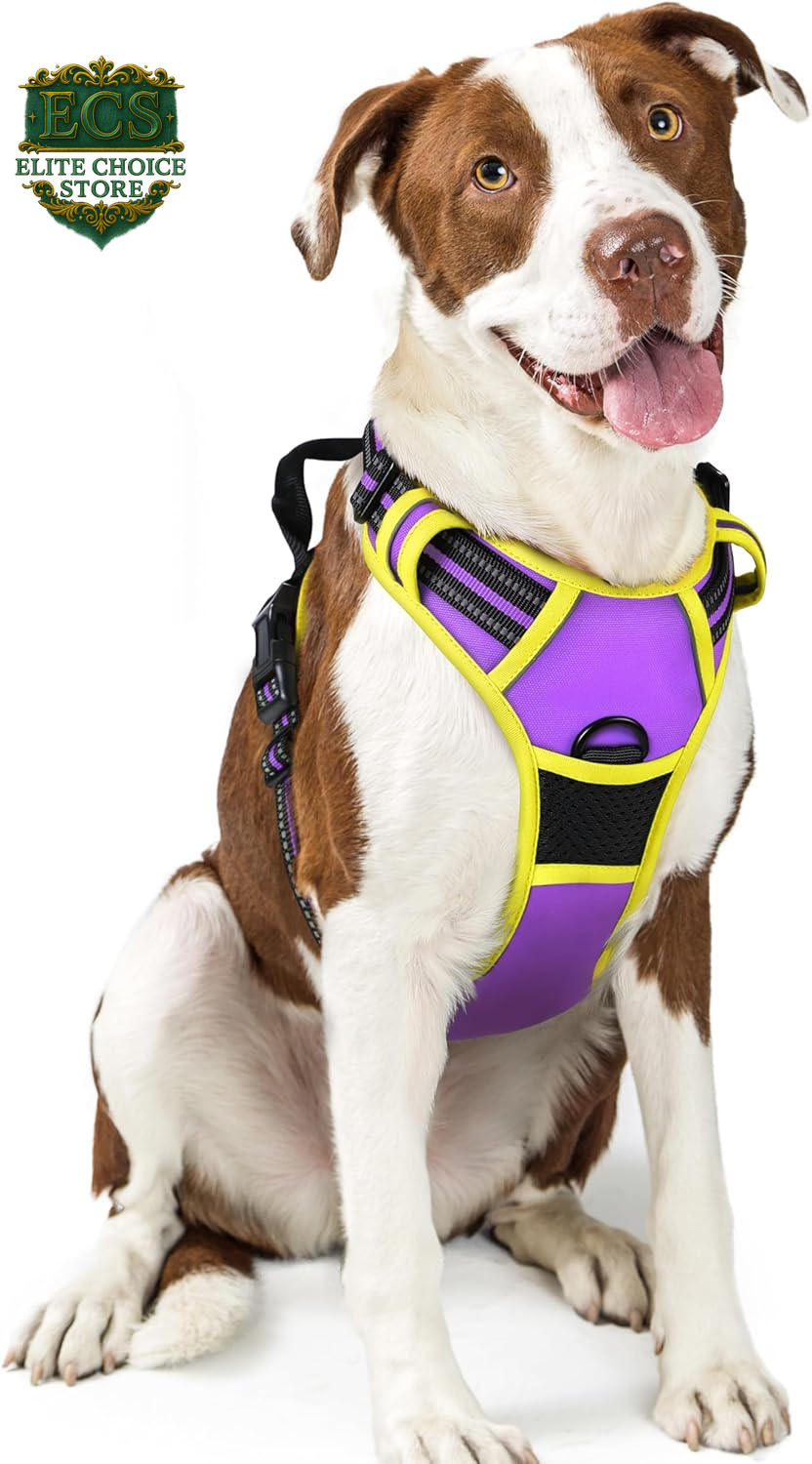 Rabbitgoo Dog Harness No Pull with 2 Leash Clips, Adjustable Soft Padded, Reflective Oxford No Choke Pet Vest with Easy Control Handle for Large Dogs, Black, L