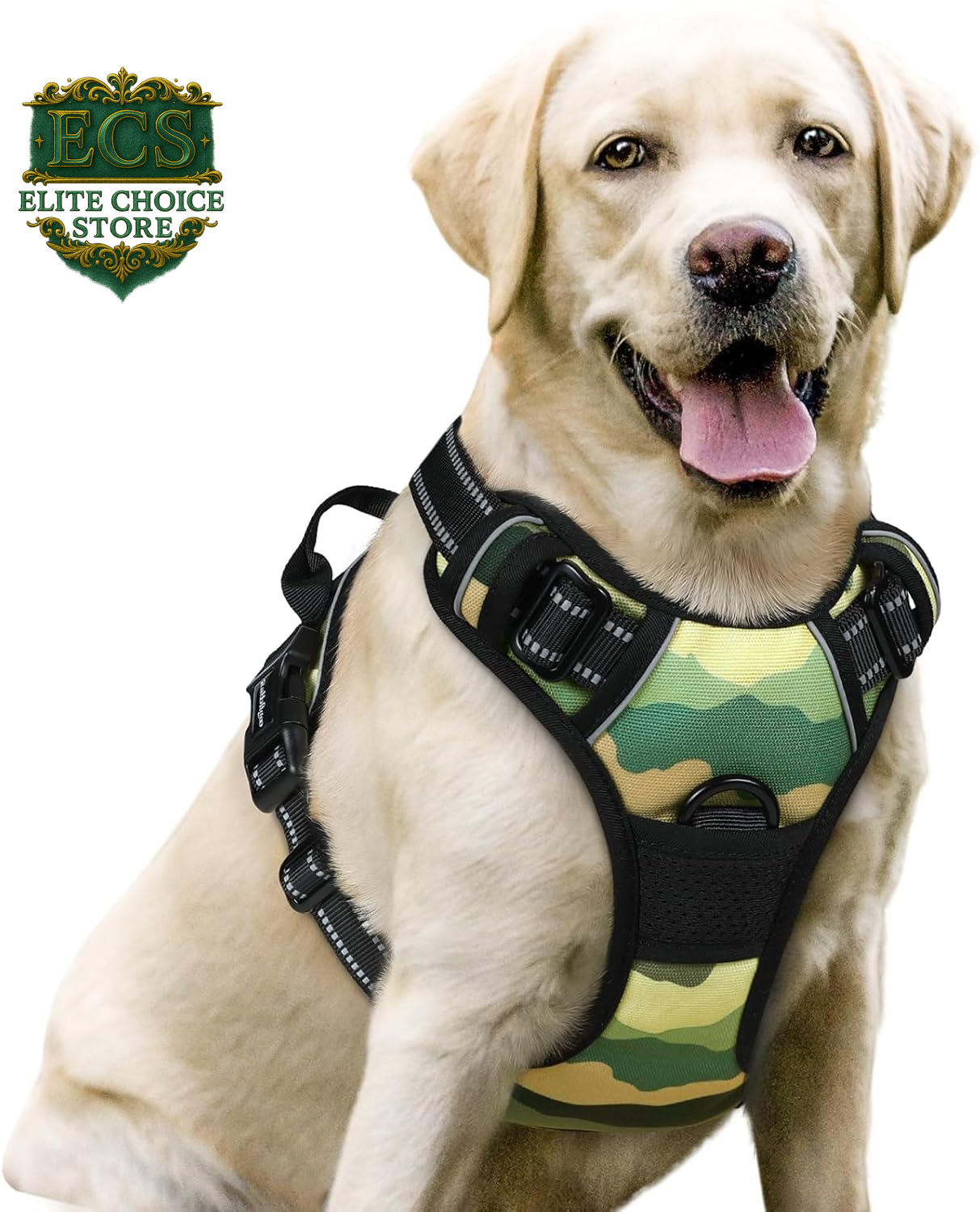 Rabbitgoo Dog Harness No Pull with 2 Leash Clips, Adjustable Soft Padded, Reflective Oxford No Choke Pet Vest with Easy Control Handle for Large Dogs, Black, L