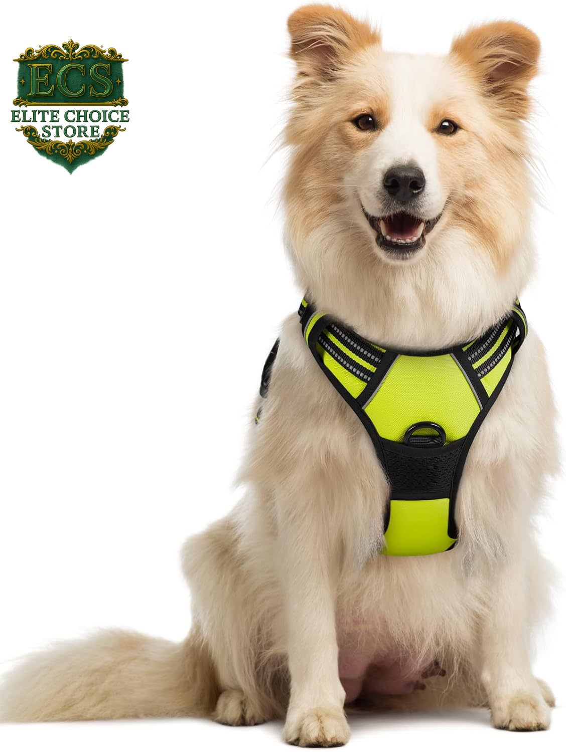 Rabbitgoo Dog Harness No Pull with 2 Leash Clips, Adjustable Soft Padded, Reflective Oxford No Choke Pet Vest with Easy Control Handle for Large Dogs, Black, L