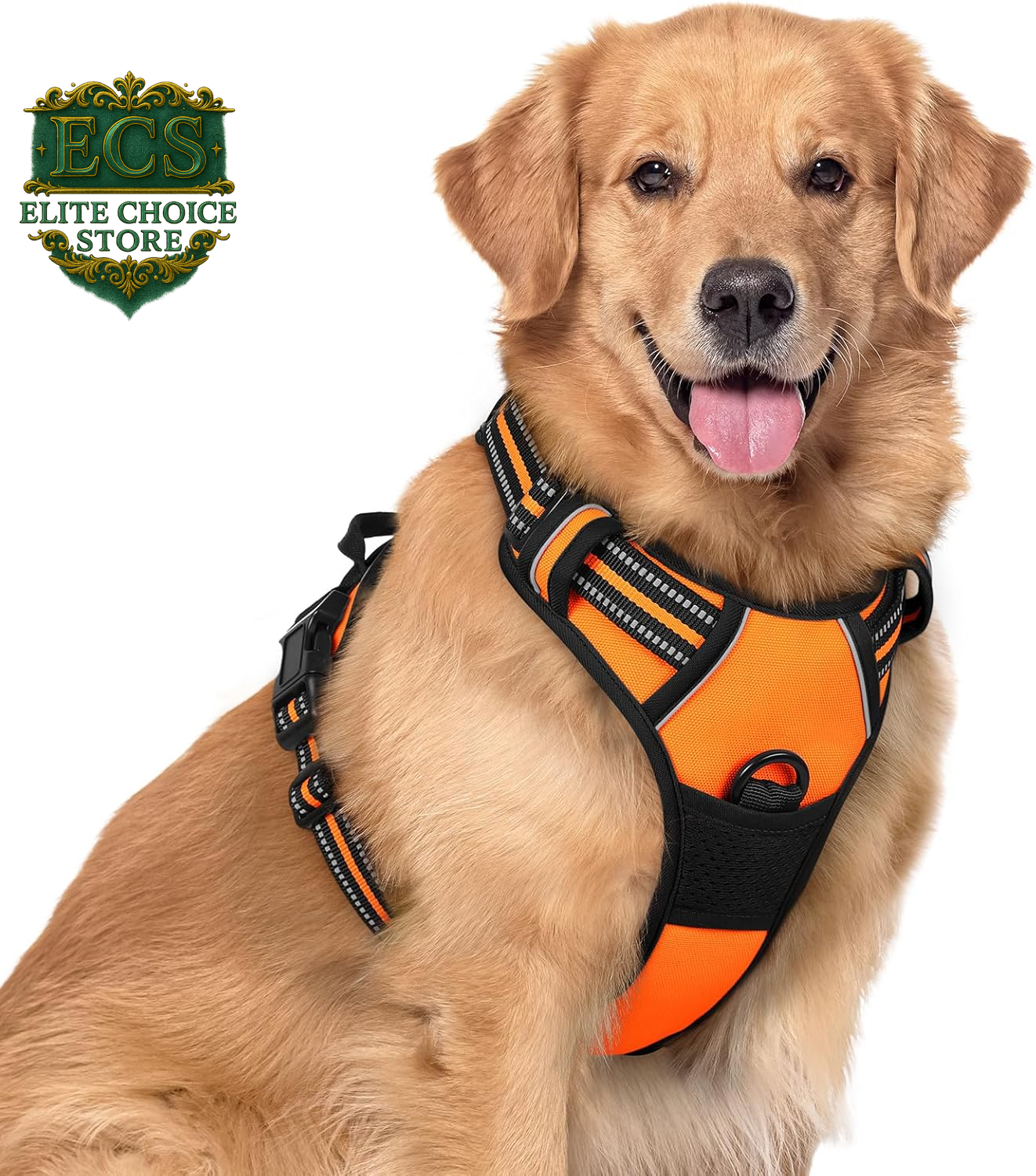 Rabbitgoo Dog Harness No Pull with 2 Leash Clips, Adjustable Soft Padded, Reflective Oxford No Choke Pet Vest with Easy Control Handle for Large Dogs, Black, L