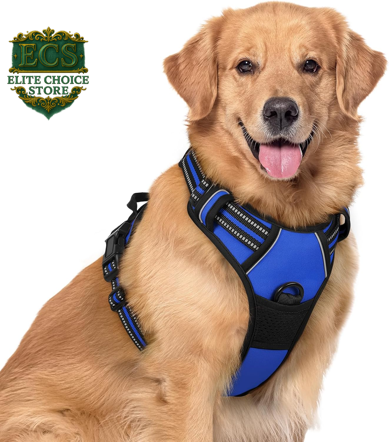 Rabbitgoo Dog Harness No Pull with 2 Leash Clips, Adjustable Soft Padded, Reflective Oxford No Choke Pet Vest with Easy Control Handle for Large Dogs, Black, L