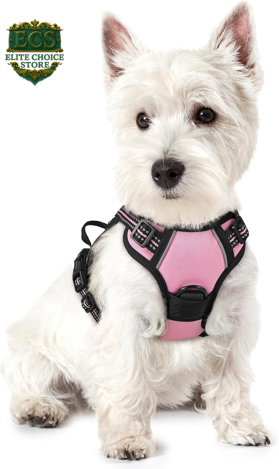 Rabbitgoo Dog Harness No Pull with 2 Leash Clips, Adjustable Soft Padded, Reflective Oxford No Choke Pet Vest with Easy Control Handle for Large Dogs, Black, L