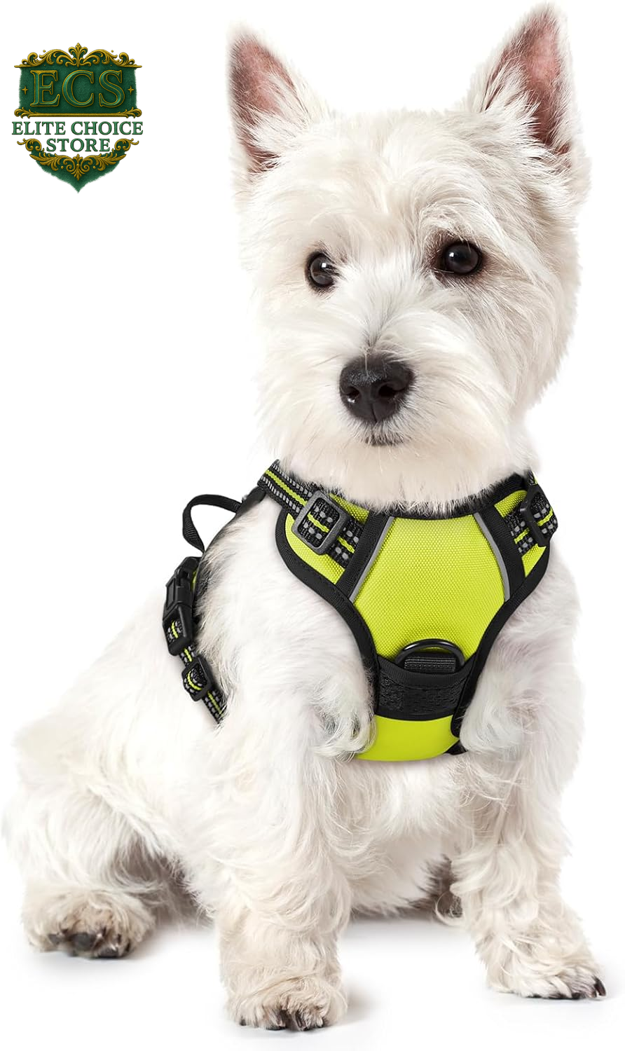 Rabbitgoo Dog Harness No Pull with 2 Leash Clips, Adjustable Soft Padded, Reflective Oxford No Choke Pet Vest with Easy Control Handle for Large Dogs, Black, L