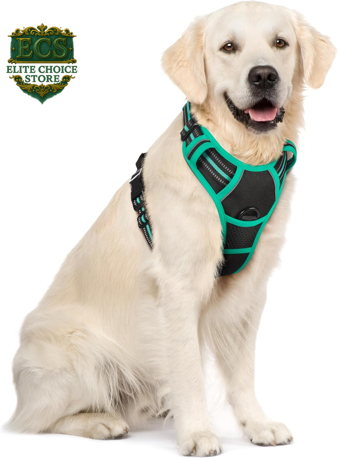 Rabbitgoo Dog Harness No Pull with 2 Leash Clips, Adjustable Soft Padded, Reflective Oxford No Choke Pet Vest with Easy Control Handle for Large Dogs, Black, L