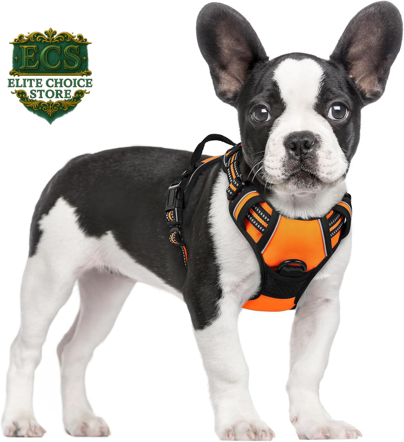 Rabbitgoo Dog Harness No Pull with 2 Leash Clips, Adjustable Soft Padded, Reflective Oxford No Choke Pet Vest with Easy Control Handle for Large Dogs, Black, L