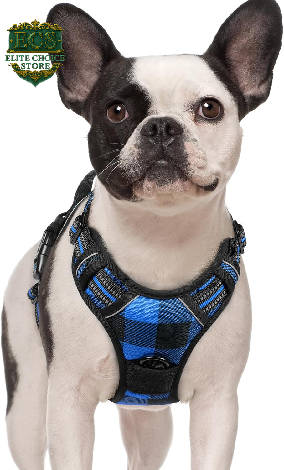 Rabbitgoo Dog Harness No Pull with 2 Leash Clips, Adjustable Soft Padded, Reflective Oxford No Choke Pet Vest with Easy Control Handle for Large Dogs, Black, L