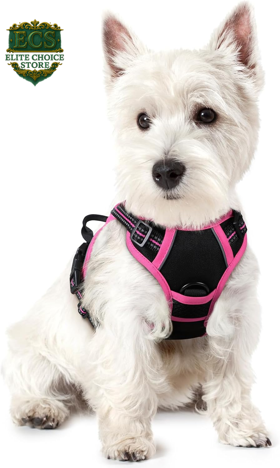 Rabbitgoo Dog Harness No Pull with 2 Leash Clips, Adjustable Soft Padded, Reflective Oxford No Choke Pet Vest with Easy Control Handle for Large Dogs, Black, L