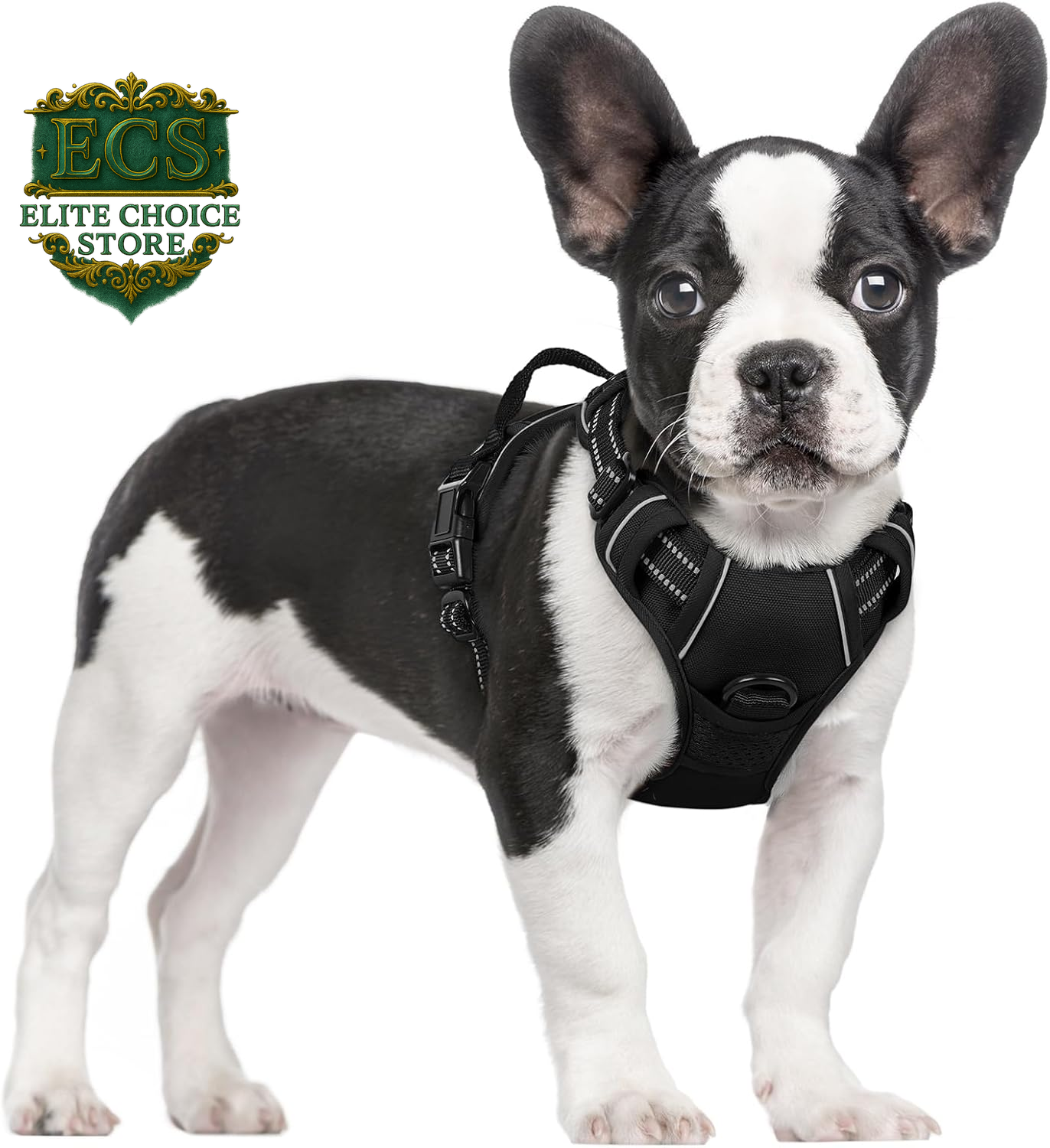 Rabbitgoo Dog Harness No Pull with 2 Leash Clips, Adjustable Soft Padded, Reflective Oxford No Choke Pet Vest with Easy Control Handle for Large Dogs, Black, L