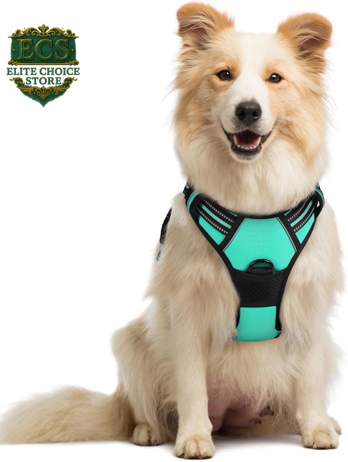 Rabbitgoo Dog Harness No Pull with 2 Leash Clips, Adjustable Soft Padded, Reflective Oxford No Choke Pet Vest with Easy Control Handle for Large Dogs, Black, L
