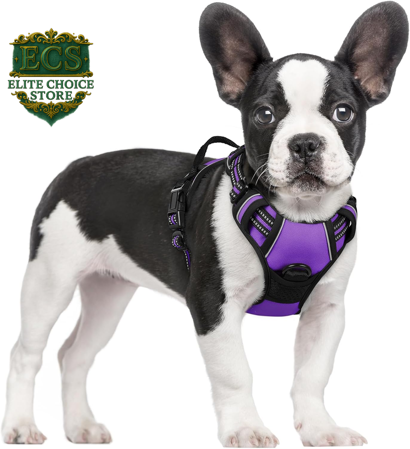 Rabbitgoo Dog Harness No Pull with 2 Leash Clips, Adjustable Soft Padded, Reflective Oxford No Choke Pet Vest with Easy Control Handle for Large Dogs, Black, L