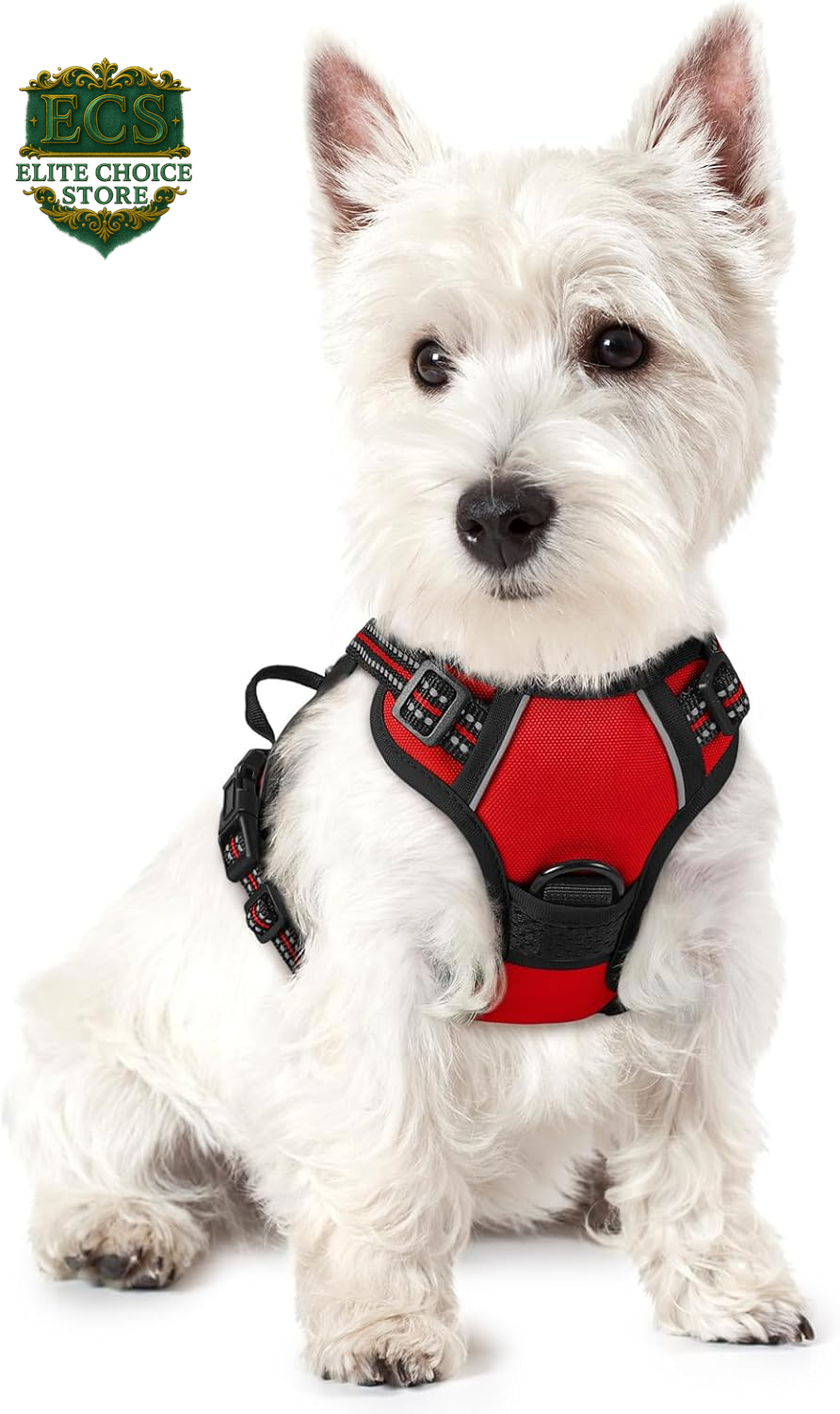 Rabbitgoo Dog Harness No Pull with 2 Leash Clips, Adjustable Soft Padded, Reflective Oxford No Choke Pet Vest with Easy Control Handle for Large Dogs, Black, L