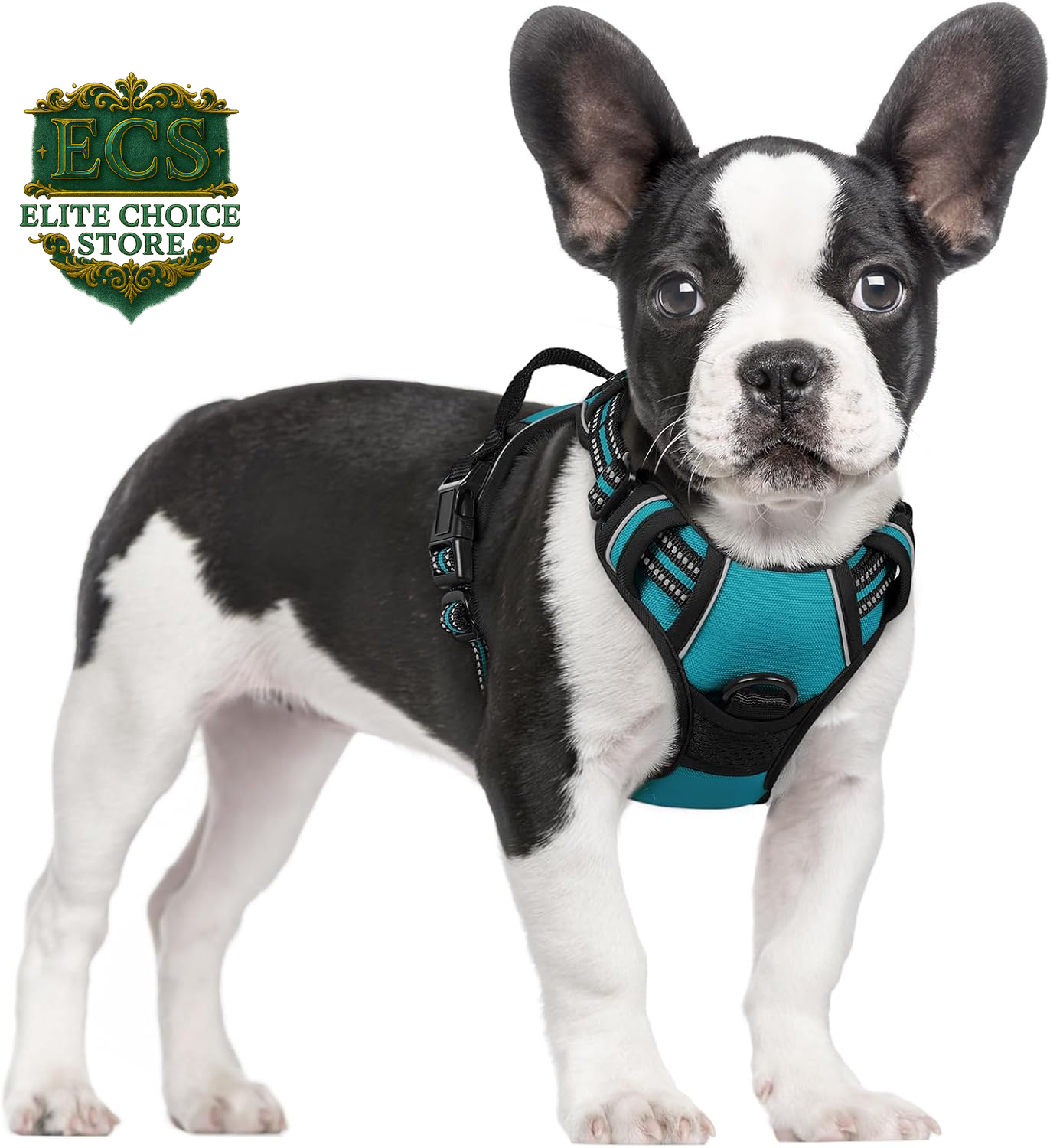 Rabbitgoo Dog Harness No Pull with 2 Leash Clips, Adjustable Soft Padded, Reflective Oxford No Choke Pet Vest with Easy Control Handle for Large Dogs, Black, L