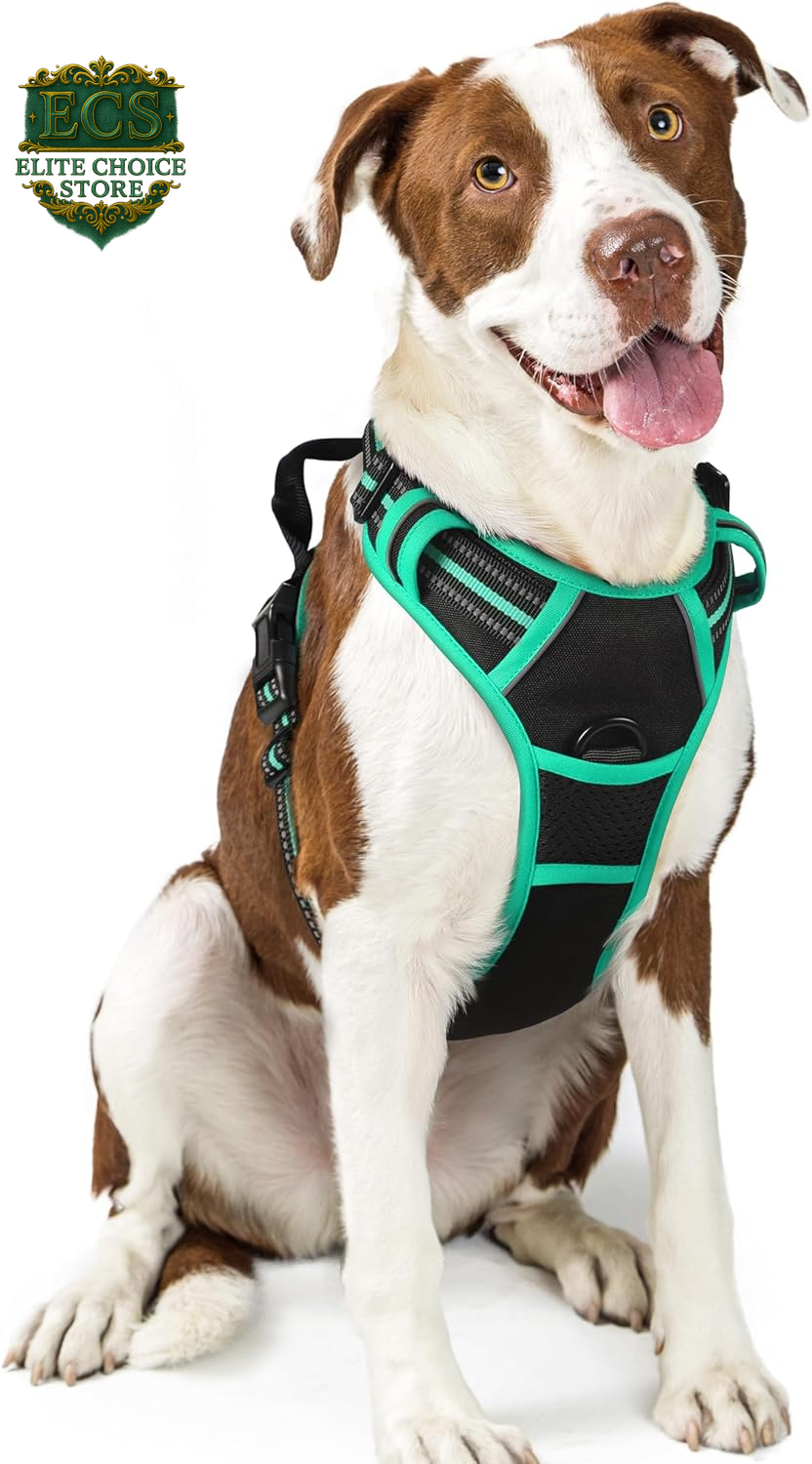 Rabbitgoo Dog Harness No Pull with 2 Leash Clips, Adjustable Soft Padded, Reflective Oxford No Choke Pet Vest with Easy Control Handle for Large Dogs, Black, L