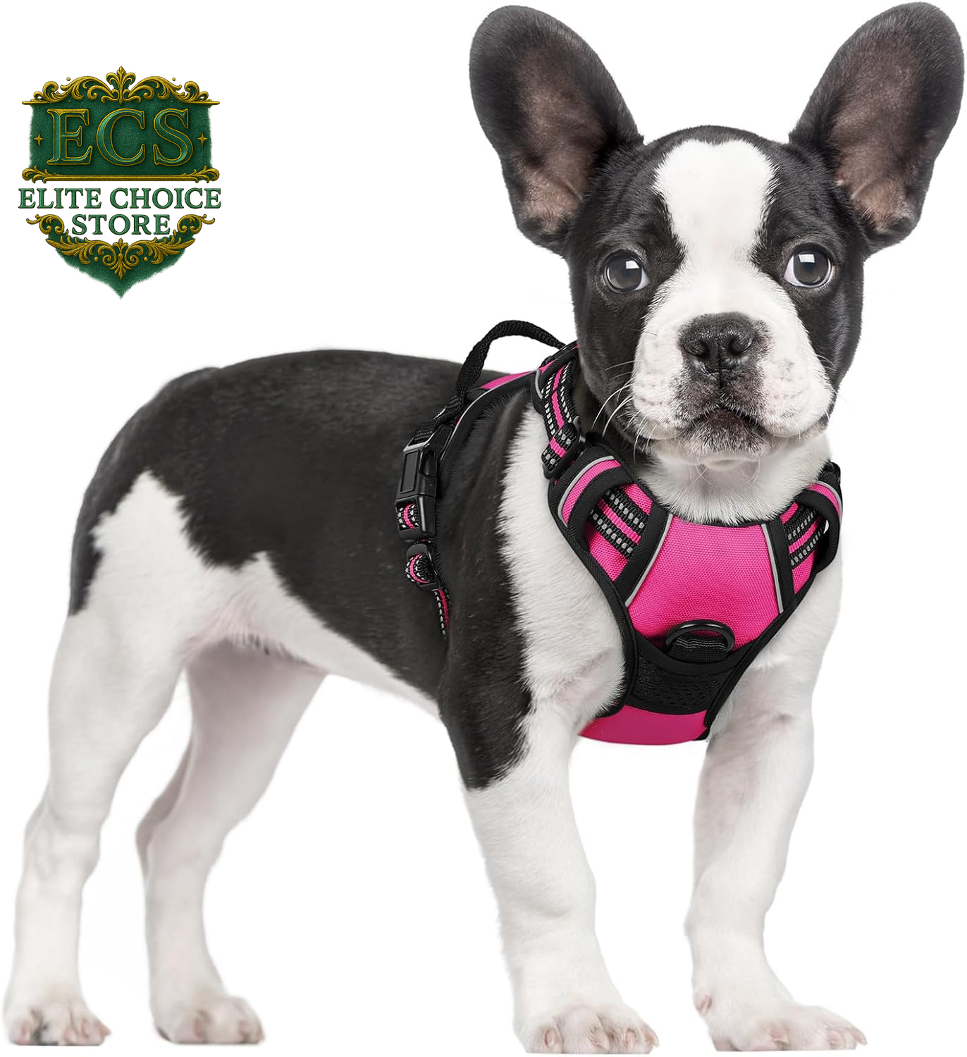 Rabbitgoo Dog Harness No Pull with 2 Leash Clips, Adjustable Soft Padded, Reflective Oxford No Choke Pet Vest with Easy Control Handle for Large Dogs, Black, L