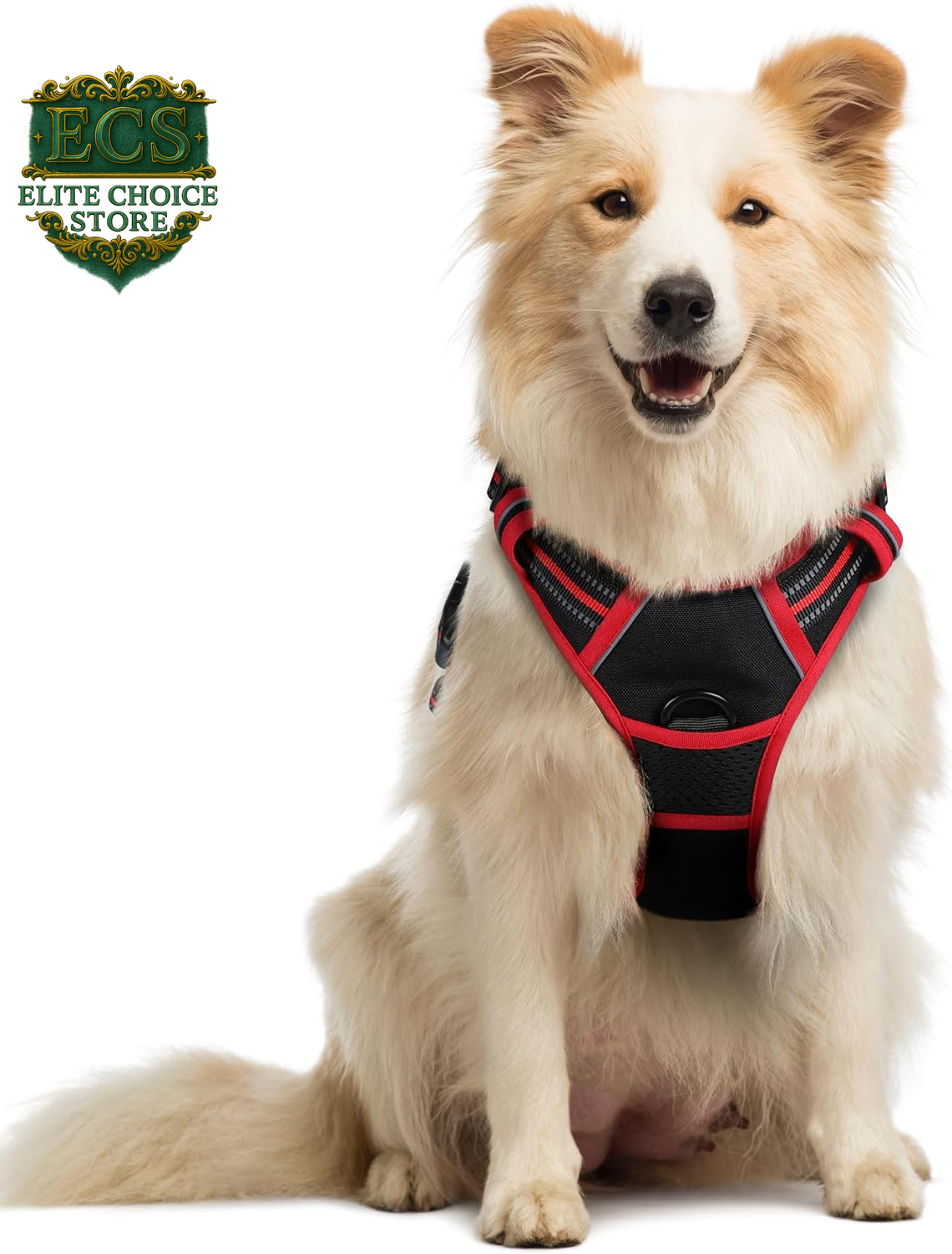 Rabbitgoo Dog Harness No Pull with 2 Leash Clips, Adjustable Soft Padded, Reflective Oxford No Choke Pet Vest with Easy Control Handle for Large Dogs, Black, L