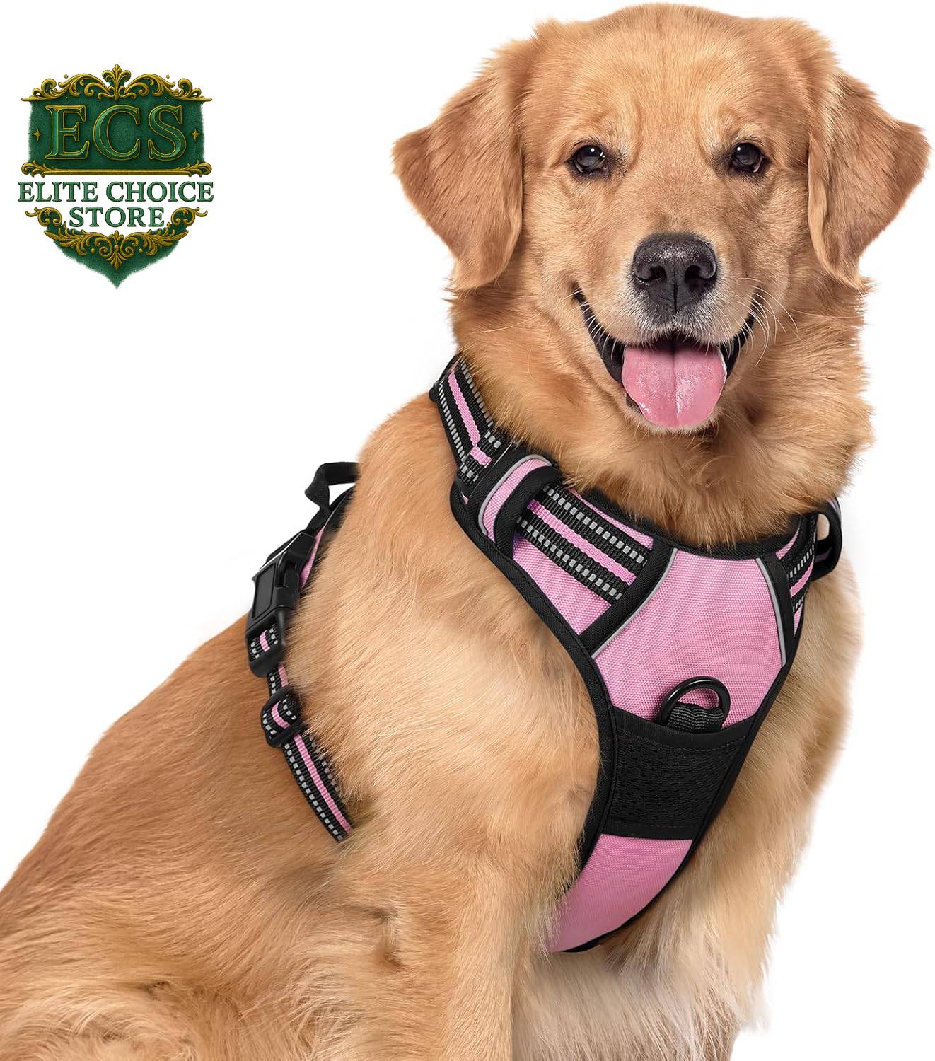 Rabbitgoo Dog Harness No Pull with 2 Leash Clips, Adjustable Soft Padded, Reflective Oxford No Choke Pet Vest with Easy Control Handle for Large Dogs, Black, L