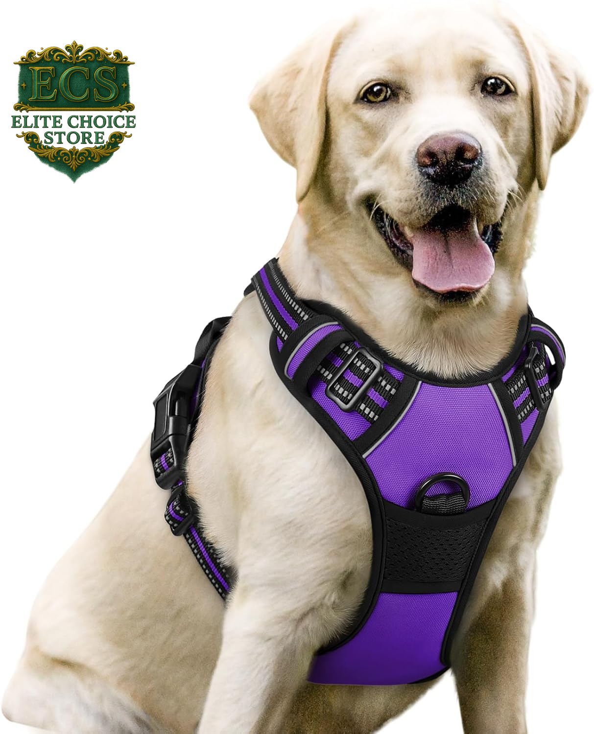 Rabbitgoo Dog Harness No Pull with 2 Leash Clips, Adjustable Soft Padded, Reflective Oxford No Choke Pet Vest with Easy Control Handle for Large Dogs, Black, L