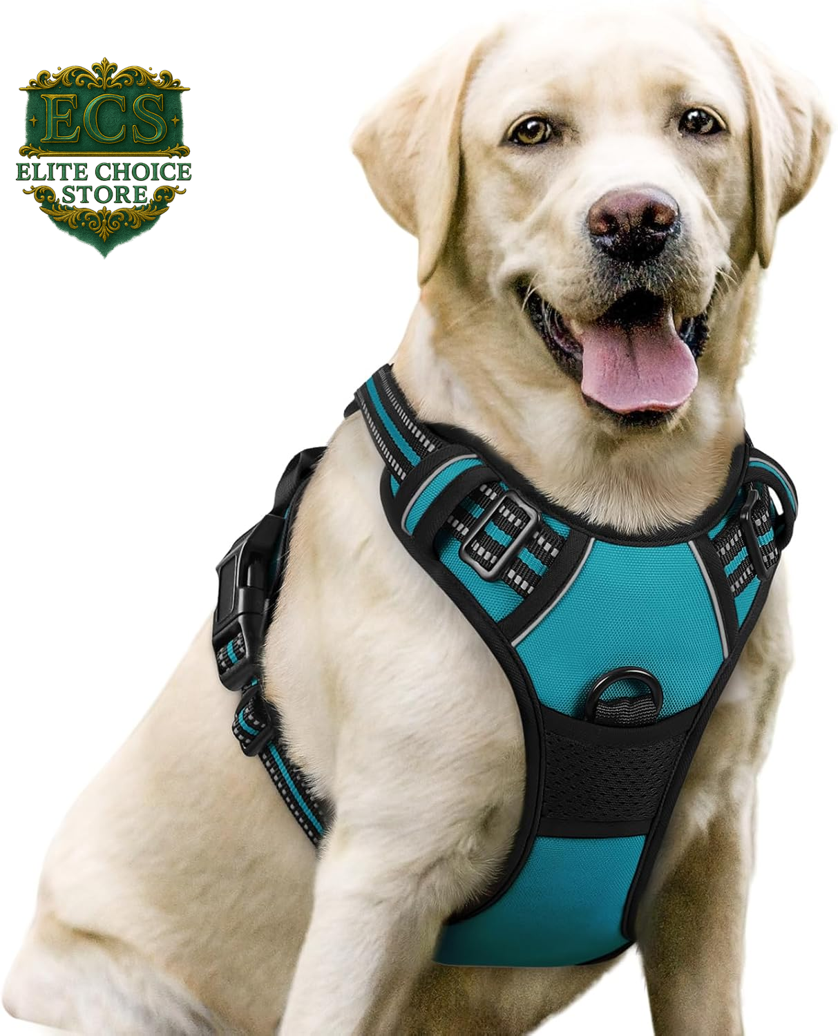 Rabbitgoo Dog Harness No Pull with 2 Leash Clips, Adjustable Soft Padded, Reflective Oxford No Choke Pet Vest with Easy Control Handle for Large Dogs, Black, L