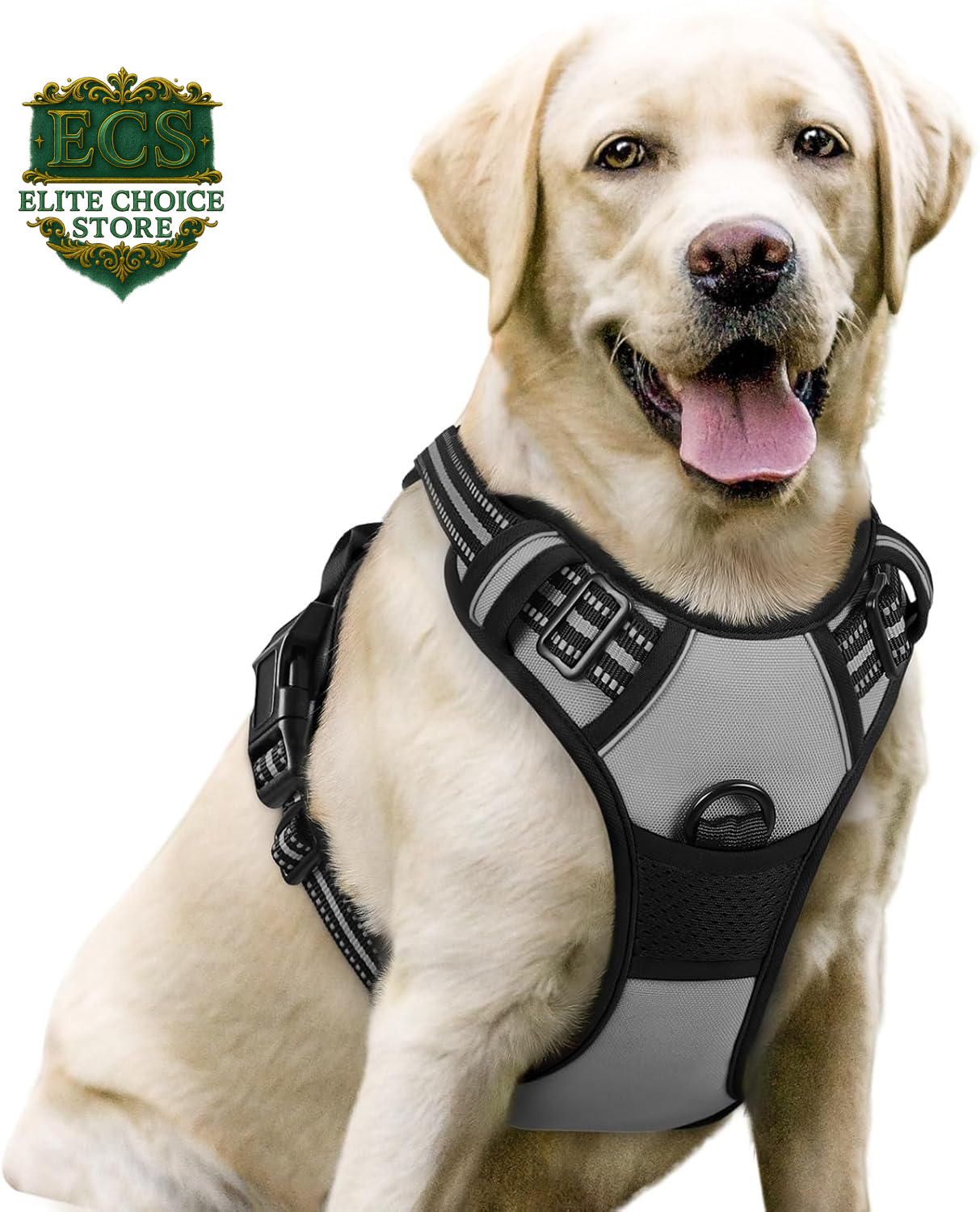 Rabbitgoo Dog Harness No Pull with 2 Leash Clips, Adjustable Soft Padded, Reflective Oxford No Choke Pet Vest with Easy Control Handle for Large Dogs, Black, L