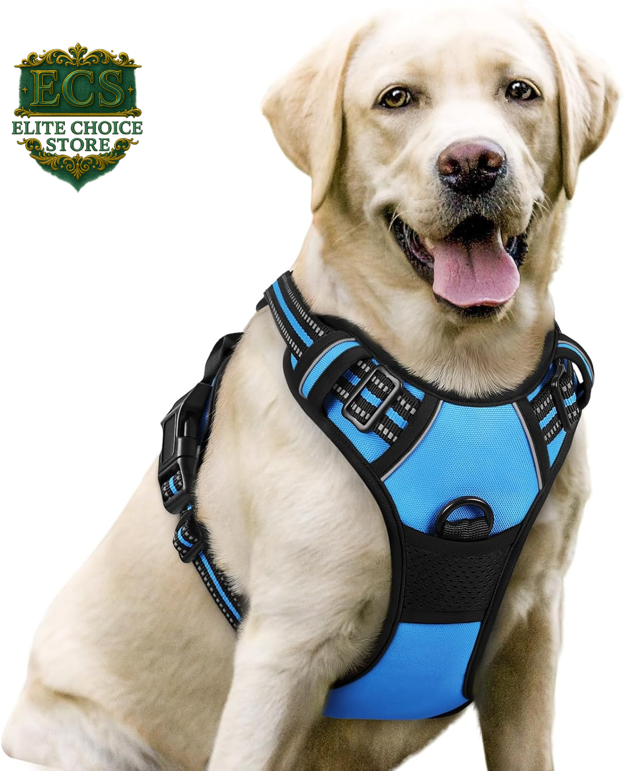 Rabbitgoo Dog Harness No Pull with 2 Leash Clips, Adjustable Soft Padded, Reflective Oxford No Choke Pet Vest with Easy Control Handle for Large Dogs, Black, L