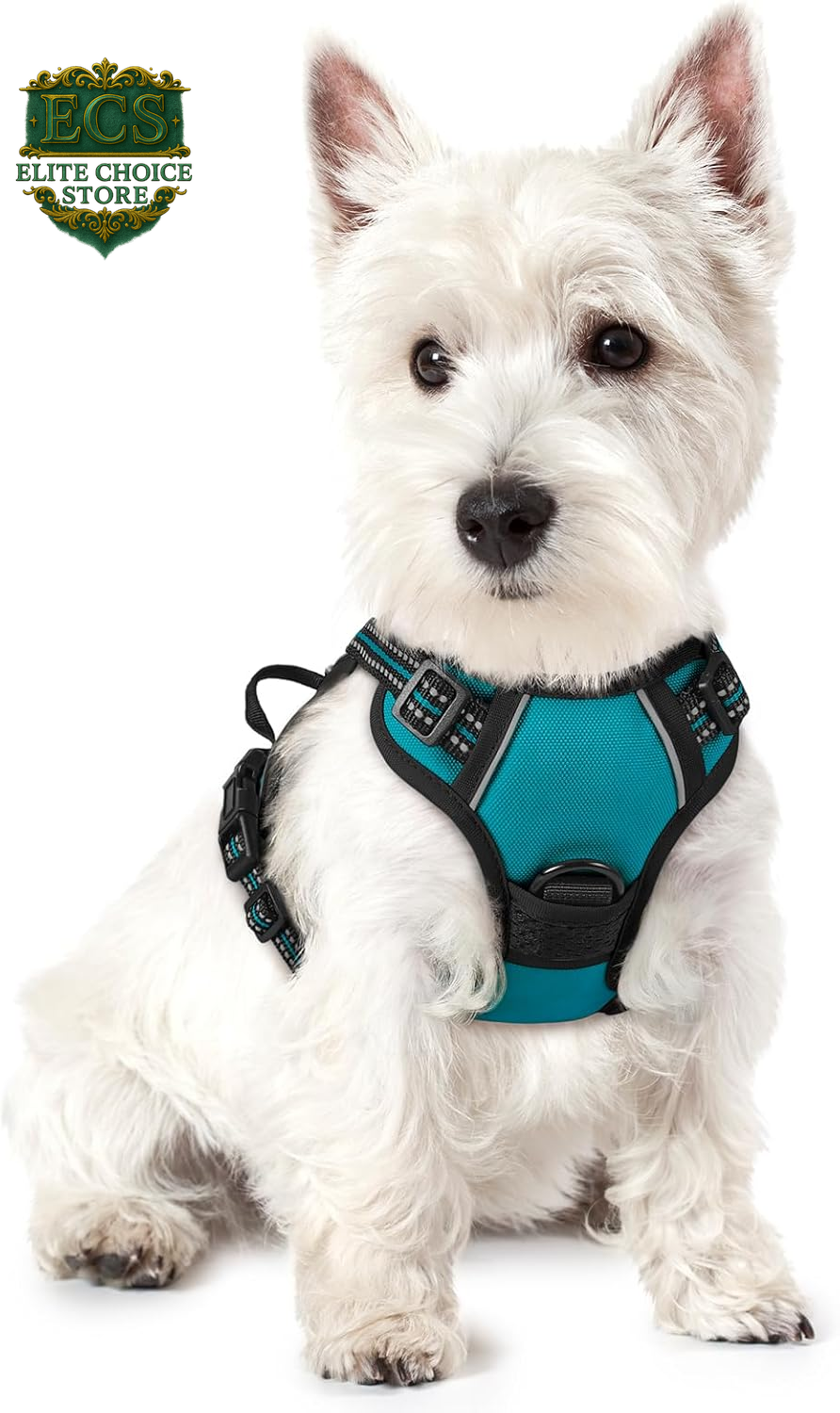 Rabbitgoo Dog Harness No Pull with 2 Leash Clips, Adjustable Soft Padded, Reflective Oxford No Choke Pet Vest with Easy Control Handle for Large Dogs, Black, L