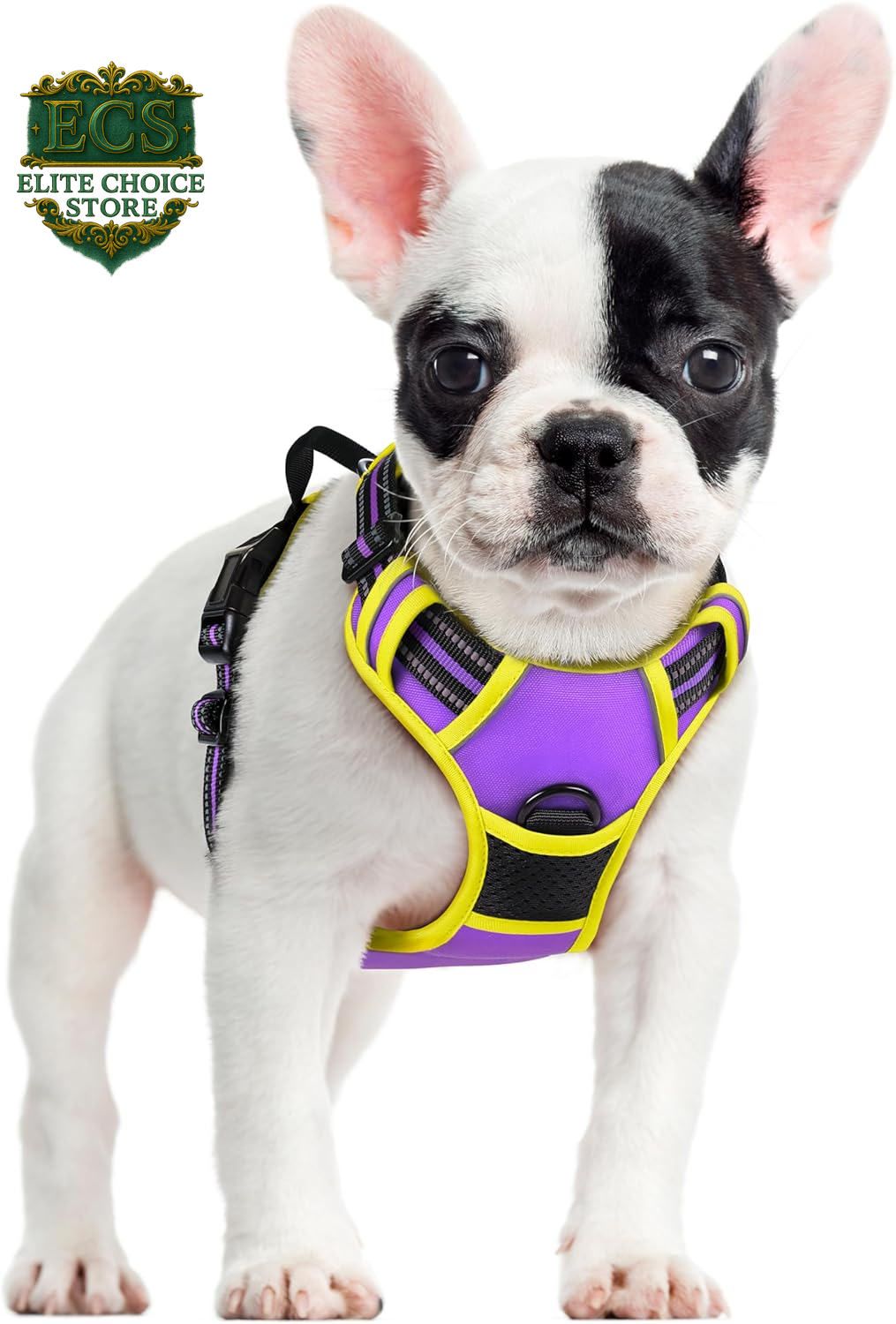 Rabbitgoo Dog Harness No Pull with 2 Leash Clips, Adjustable Soft Padded, Reflective Oxford No Choke Pet Vest with Easy Control Handle for Large Dogs, Black, L