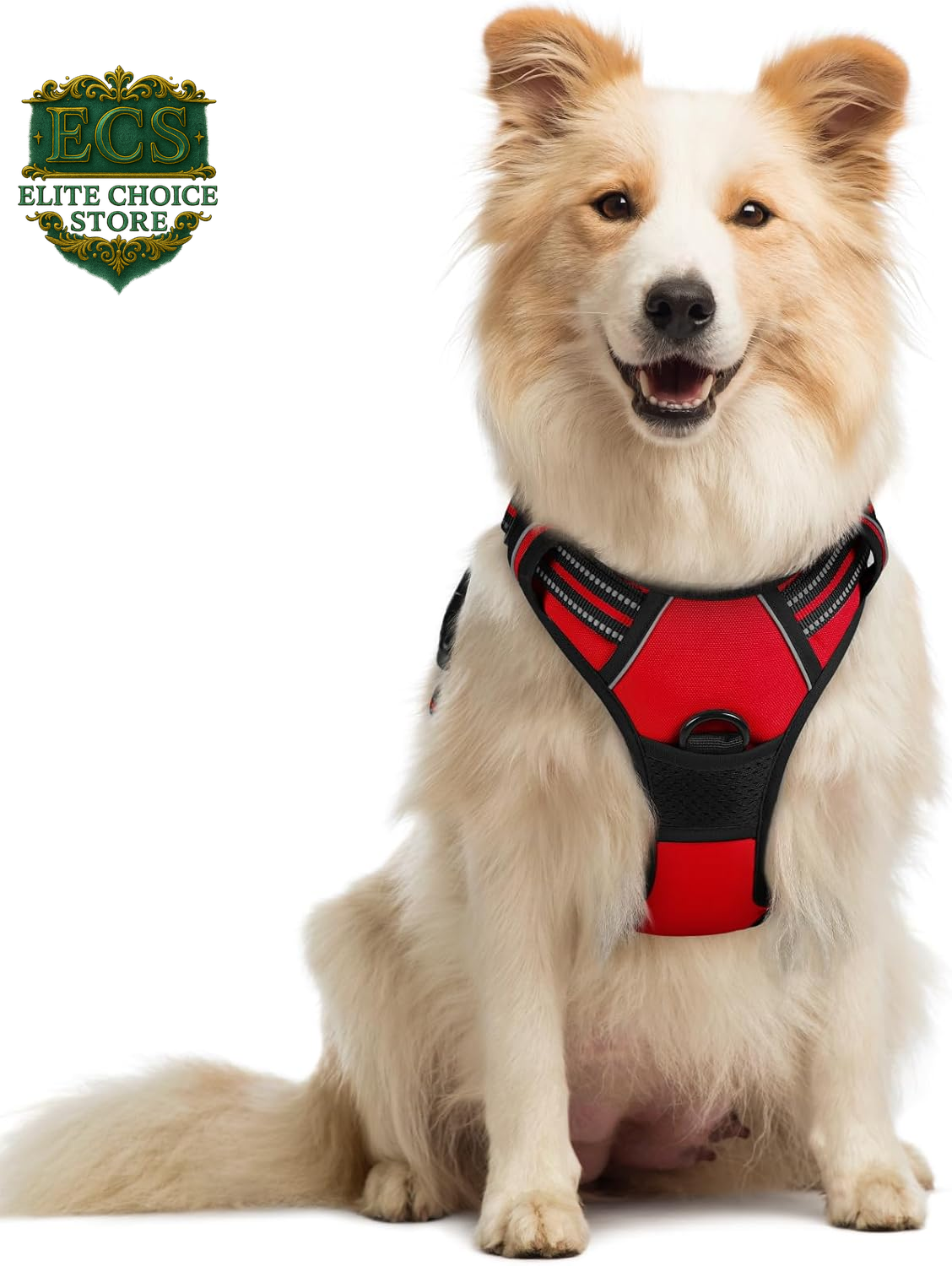 Rabbitgoo Dog Harness No Pull with 2 Leash Clips, Adjustable Soft Padded, Reflective Oxford No Choke Pet Vest with Easy Control Handle for Large Dogs, Black, L