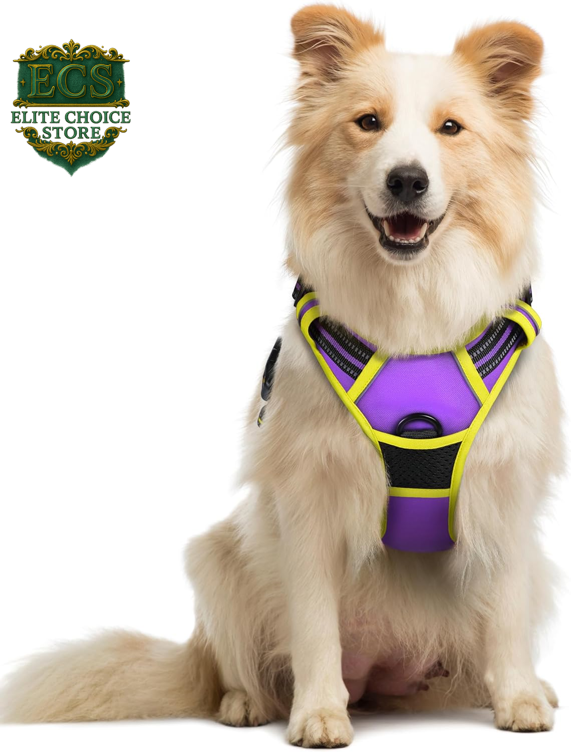 Rabbitgoo Dog Harness No Pull with 2 Leash Clips, Adjustable Soft Padded, Reflective Oxford No Choke Pet Vest with Easy Control Handle for Large Dogs, Black, L