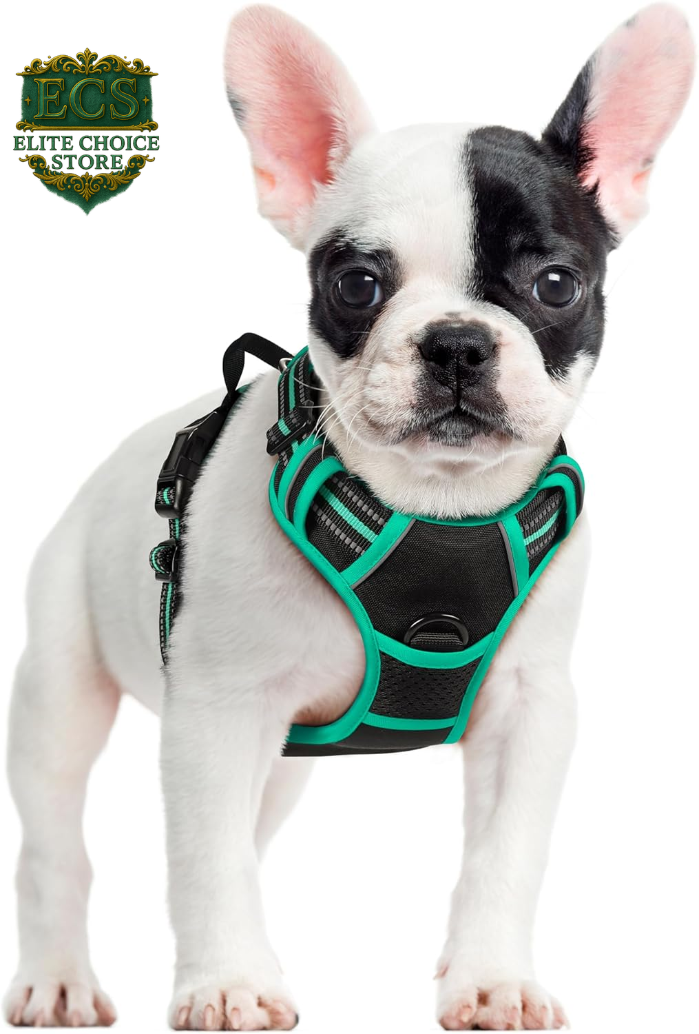 Rabbitgoo Dog Harness No Pull with 2 Leash Clips, Adjustable Soft Padded, Reflective Oxford No Choke Pet Vest with Easy Control Handle for Large Dogs, Black, L