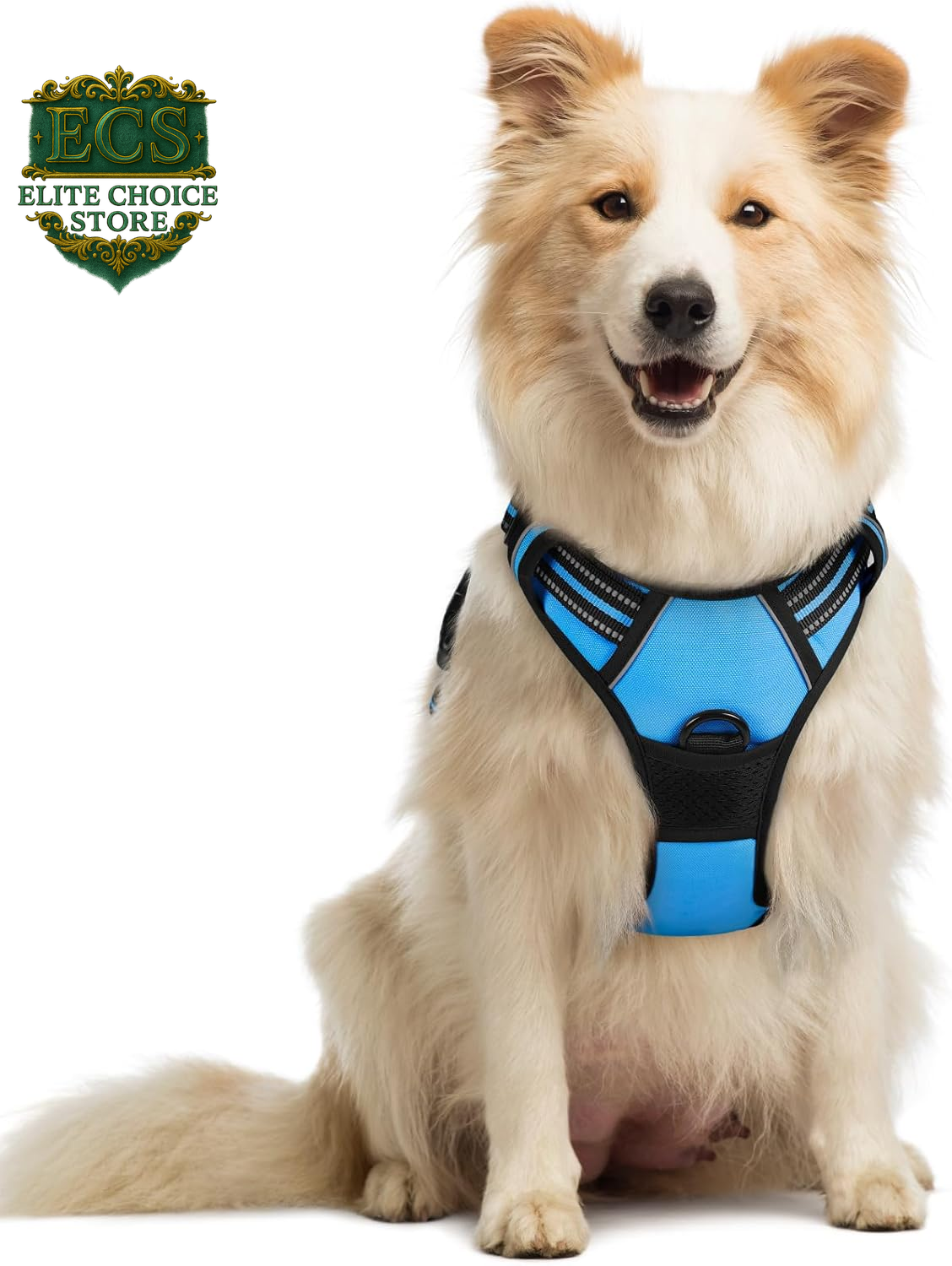 Rabbitgoo Dog Harness No Pull with 2 Leash Clips, Adjustable Soft Padded, Reflective Oxford No Choke Pet Vest with Easy Control Handle for Large Dogs, Black, L