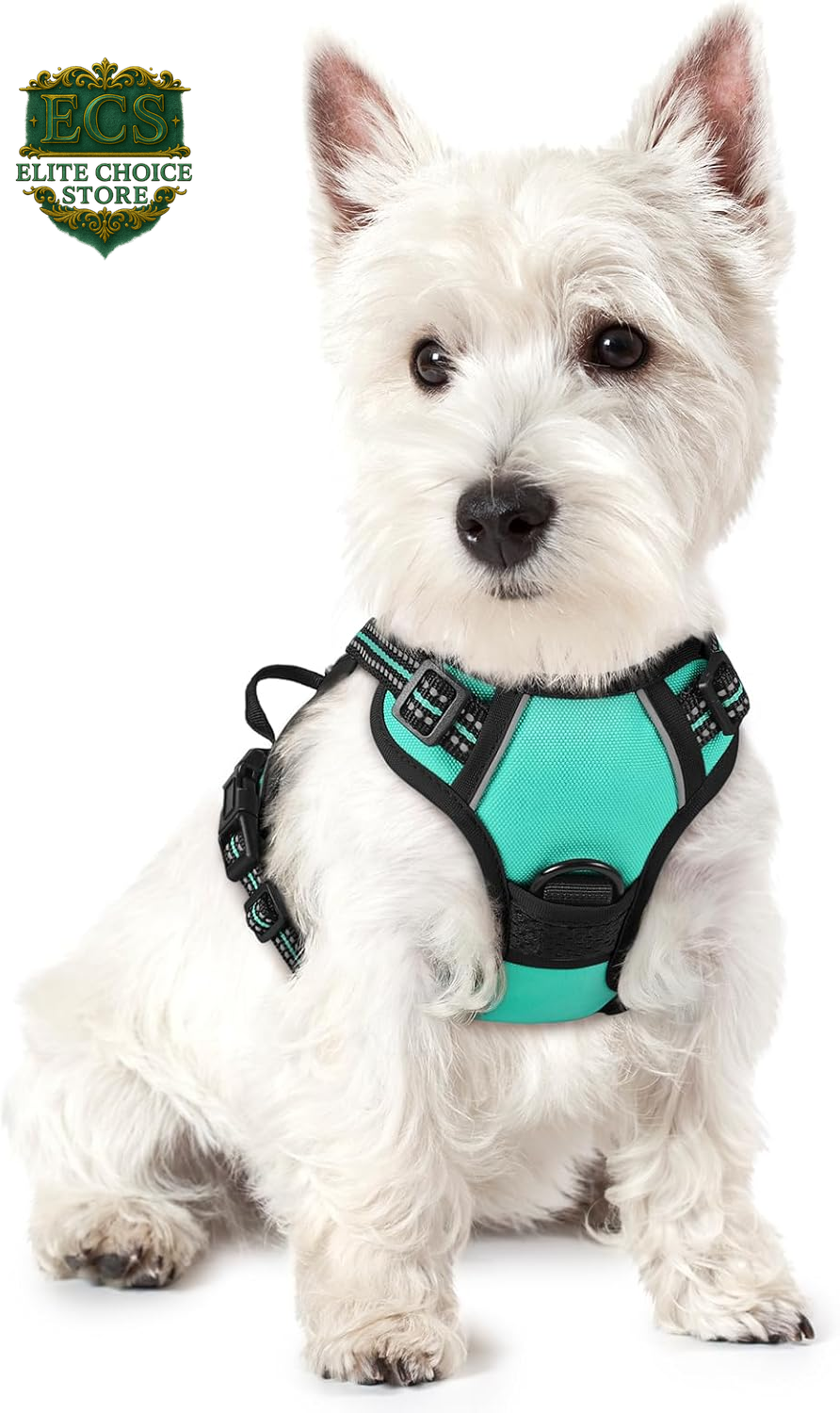 Rabbitgoo Dog Harness No Pull with 2 Leash Clips, Adjustable Soft Padded, Reflective Oxford No Choke Pet Vest with Easy Control Handle for Large Dogs, Black, L