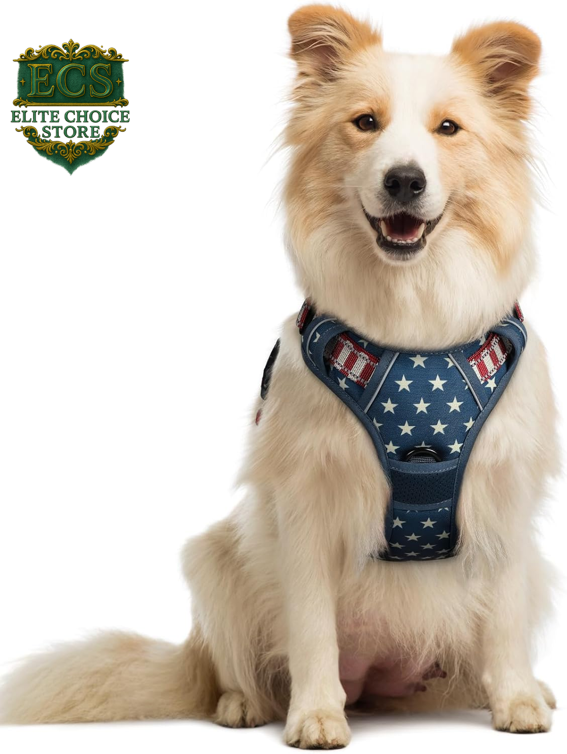 Rabbitgoo Dog Harness No Pull with 2 Leash Clips, Adjustable Soft Padded, Reflective Oxford No Choke Pet Vest with Easy Control Handle for Large Dogs, Black, L