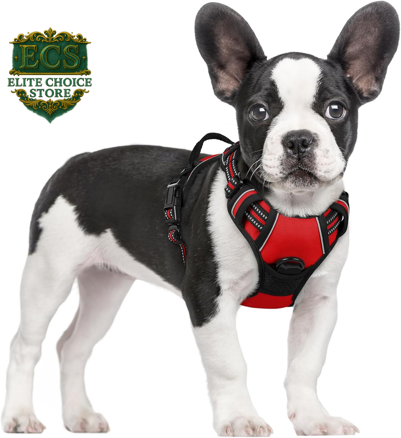 Rabbitgoo Dog Harness No Pull with 2 Leash Clips, Adjustable Soft Padded, Reflective Oxford No Choke Pet Vest with Easy Control Handle for Large Dogs, Black, L