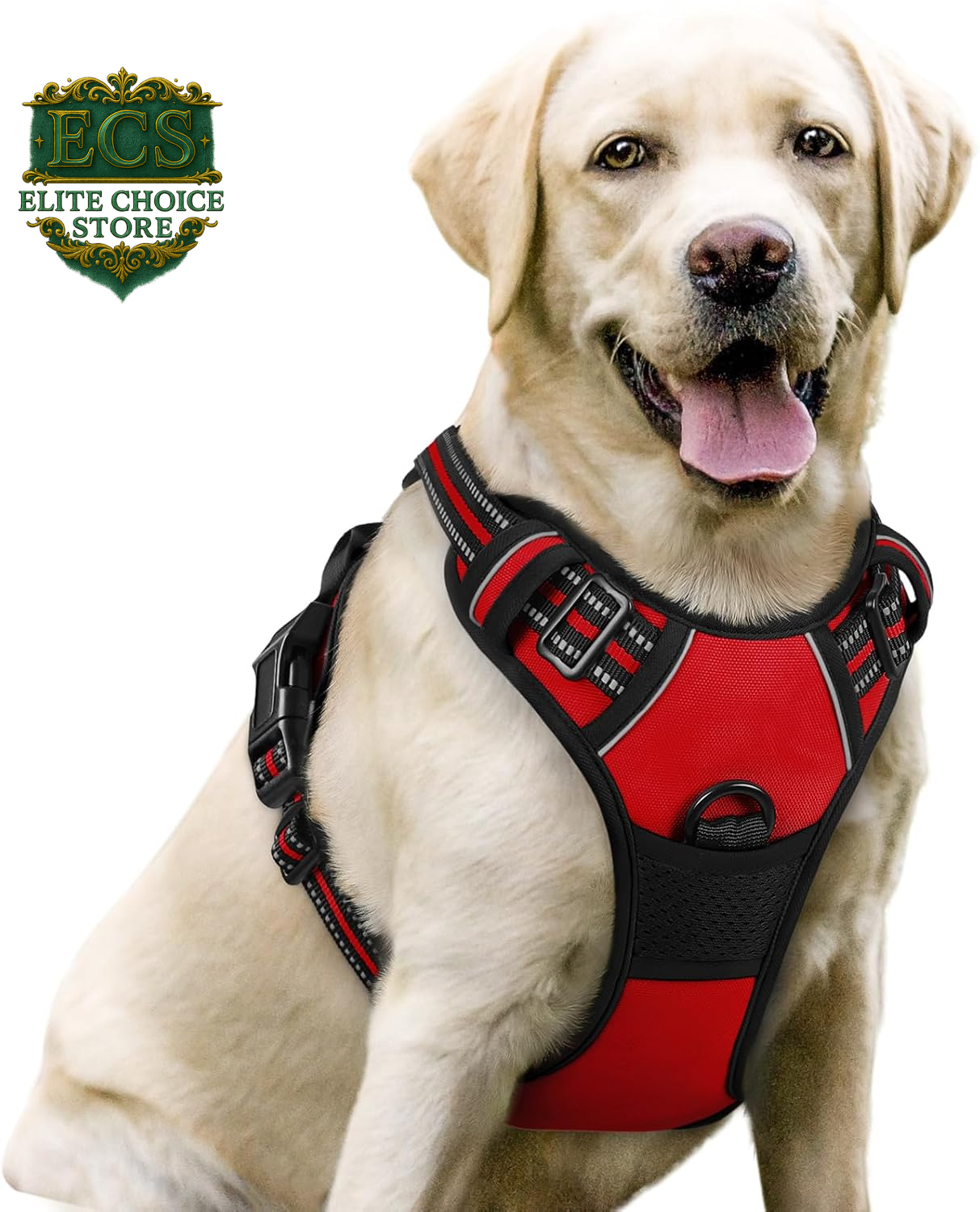 Rabbitgoo Dog Harness No Pull with 2 Leash Clips, Adjustable Soft Padded, Reflective Oxford No Choke Pet Vest with Easy Control Handle for Large Dogs, Black, L