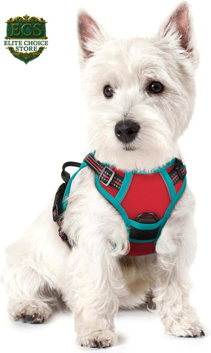 Rabbitgoo Dog Harness No Pull with 2 Leash Clips, Adjustable Soft Padded, Reflective Oxford No Choke Pet Vest with Easy Control Handle for Large Dogs, Black, L