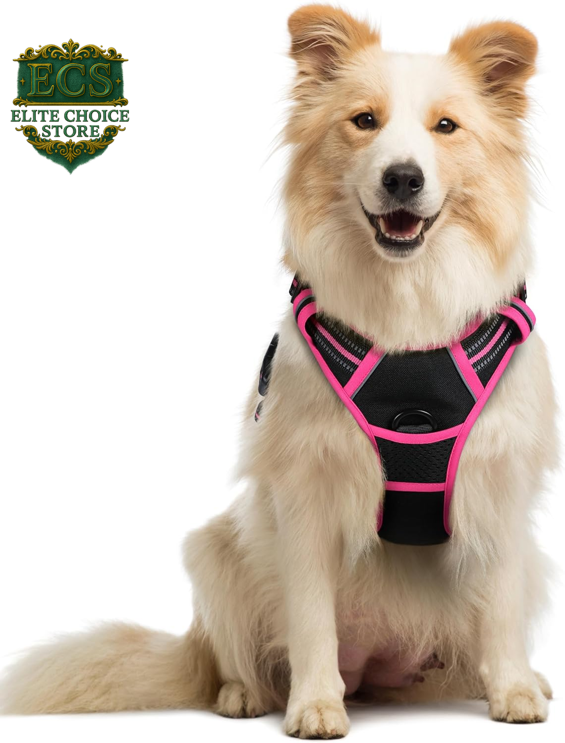 Rabbitgoo Dog Harness No Pull with 2 Leash Clips, Adjustable Soft Padded, Reflective Oxford No Choke Pet Vest with Easy Control Handle for Large Dogs, Black, L
