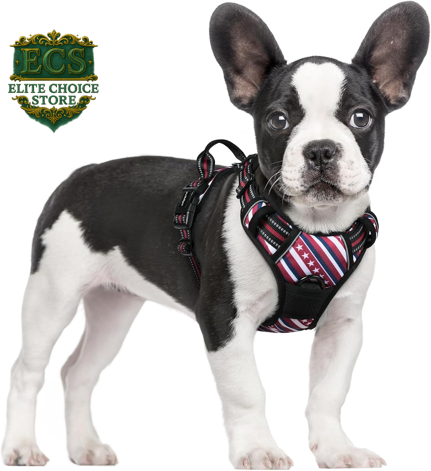 Rabbitgoo Dog Harness No Pull with 2 Leash Clips, Adjustable Soft Padded, Reflective Oxford No Choke Pet Vest with Easy Control Handle for Large Dogs, Black, L